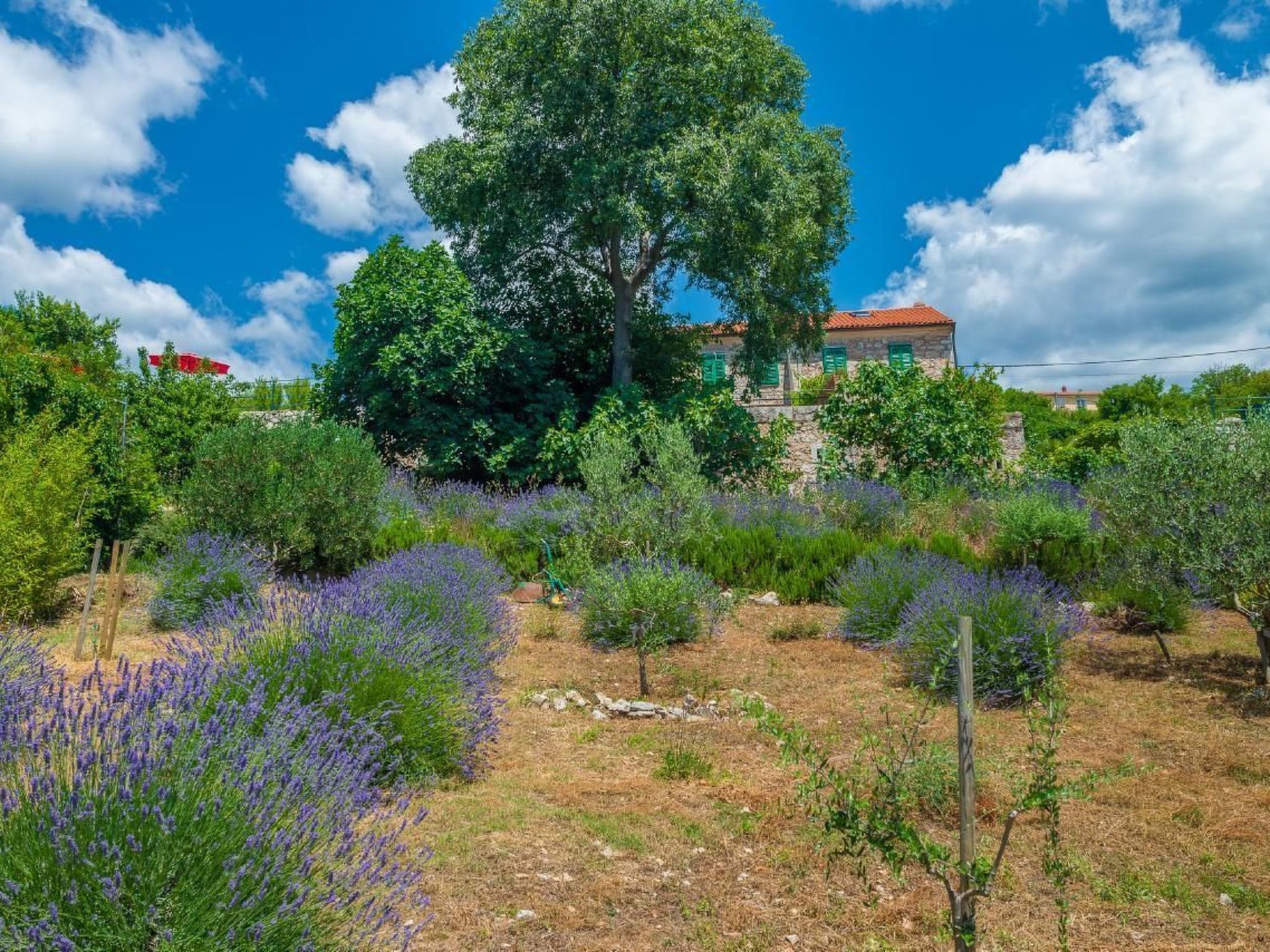 "Villa Ivanka" mit Blick auf das Wasser-Dedans