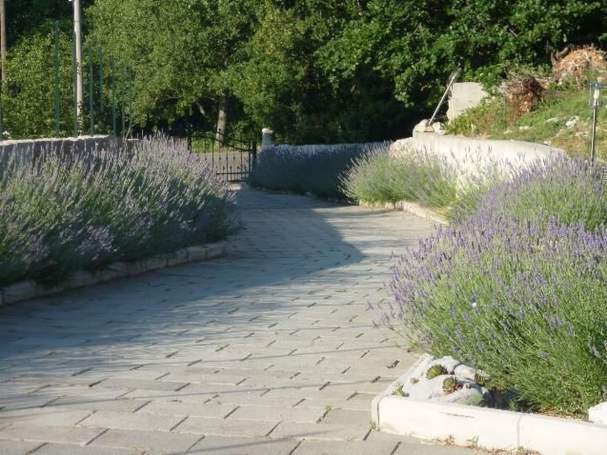 Ferienvilla Ivanka in Crikvenica-Binnen