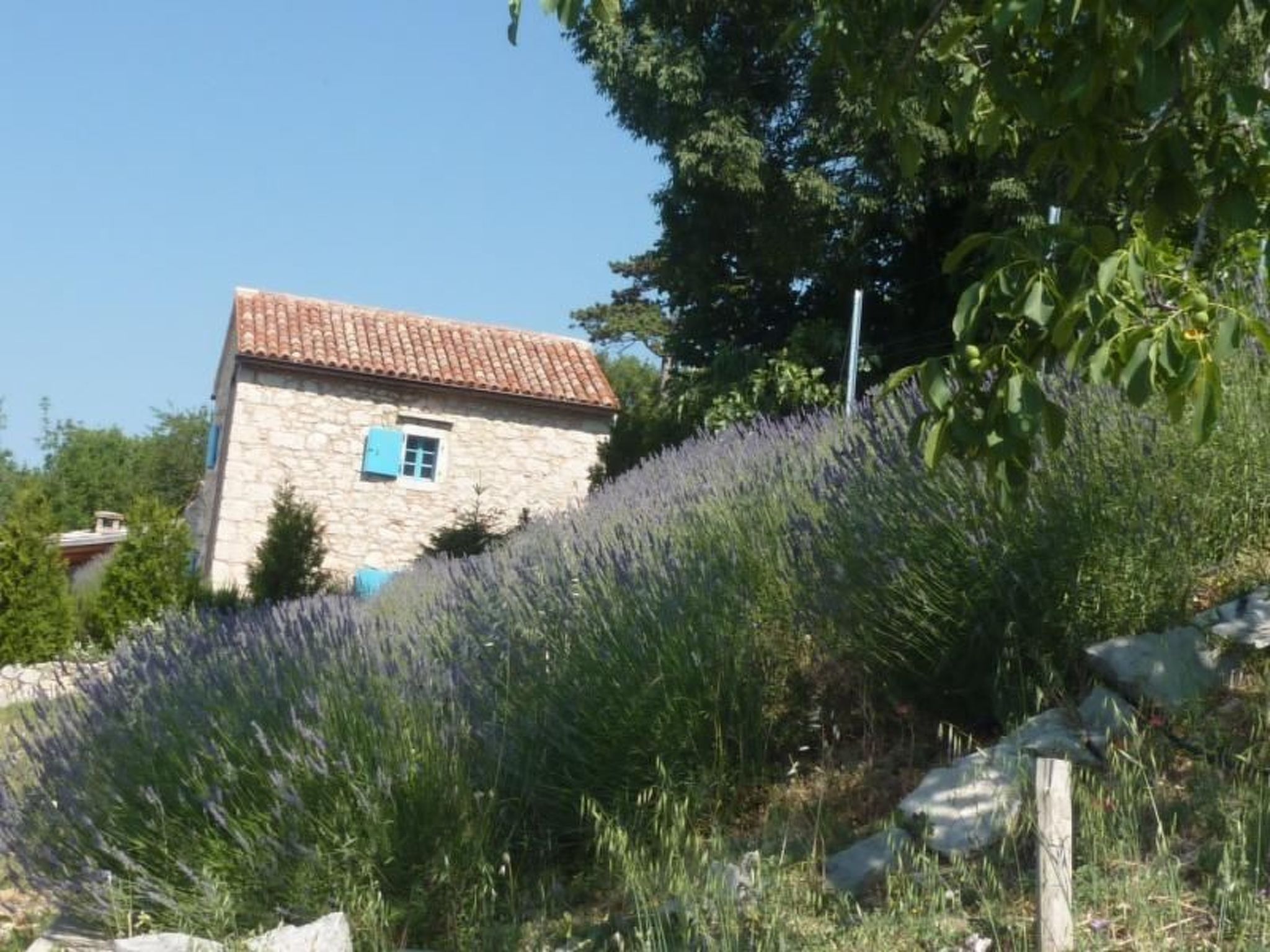 Ferienvilla Ivanka in Crikvenica-Binnen