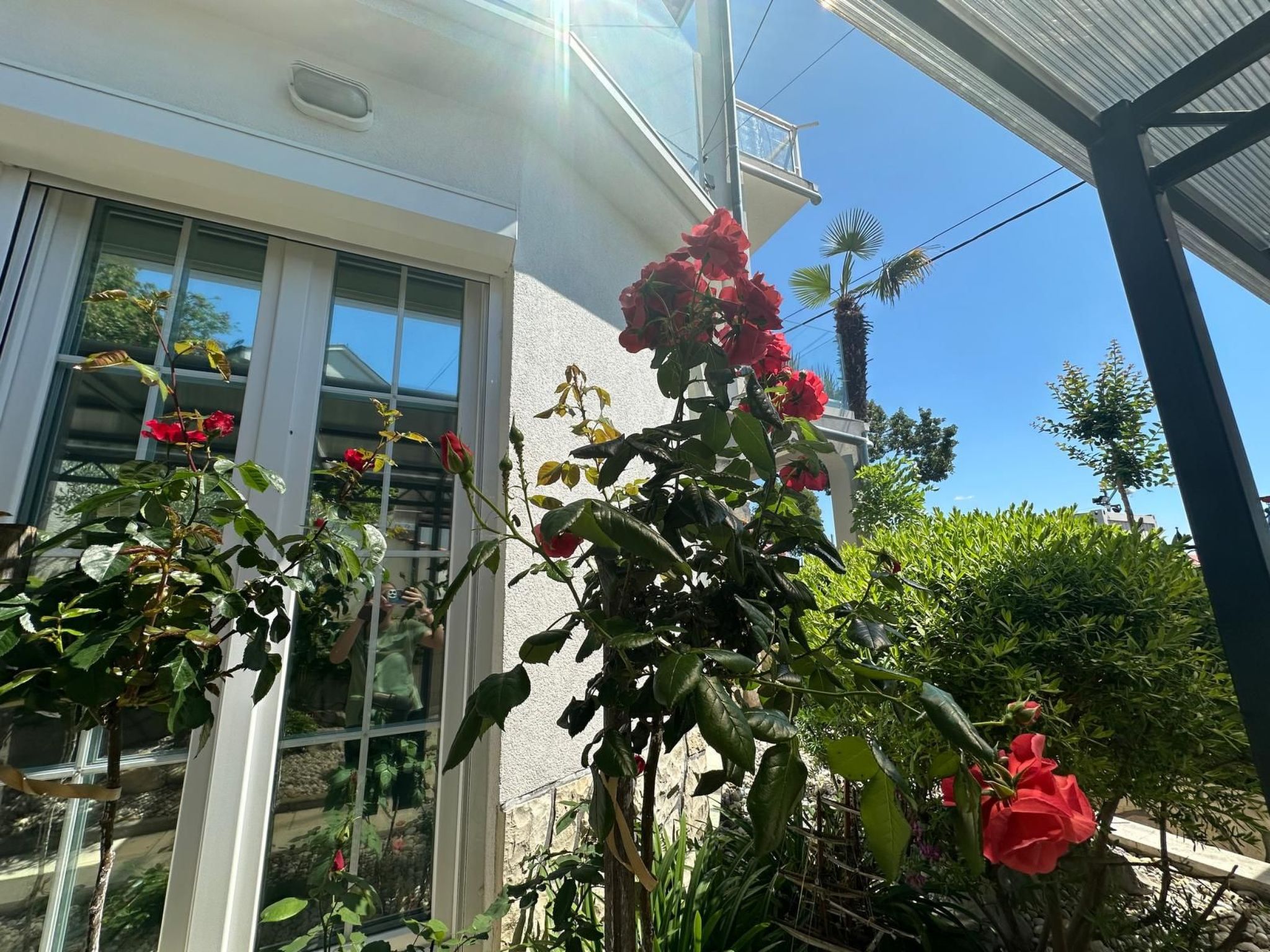 Photo of Apartment Toma 1