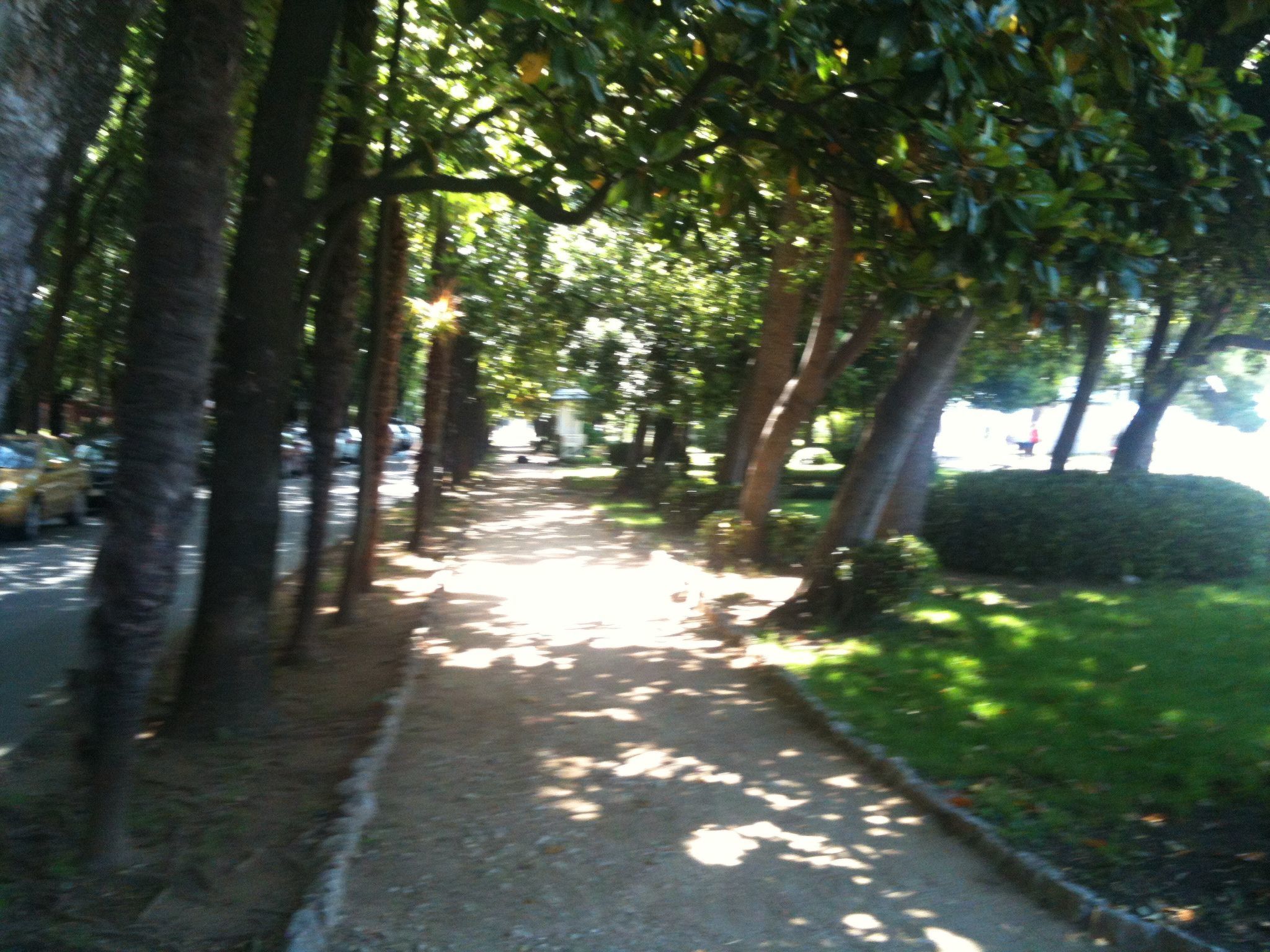 "Luxuswohnung"-Binnen