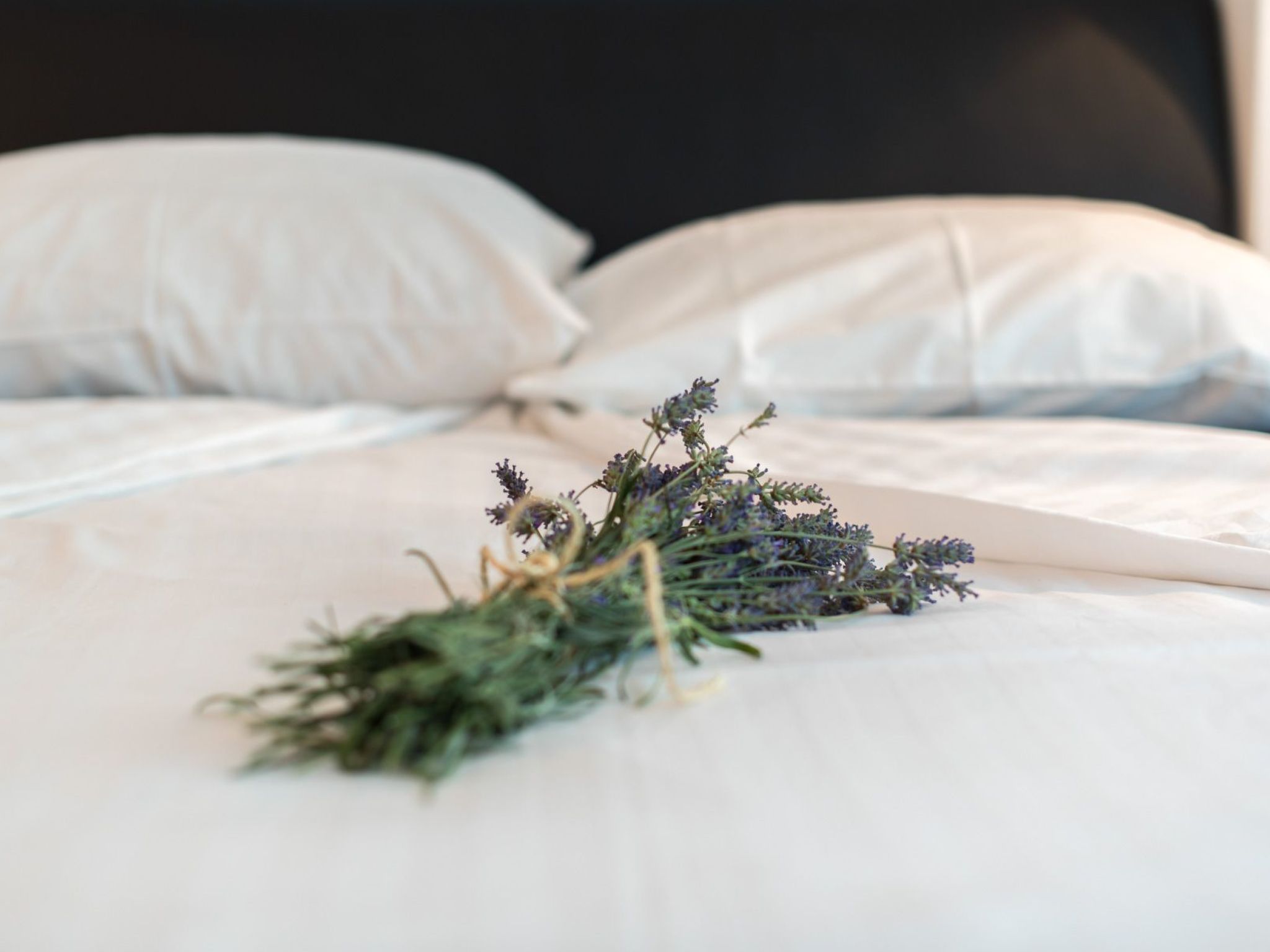 Ferienvilla "Goran" mit Blick auf das Wasser-Image-tags.info