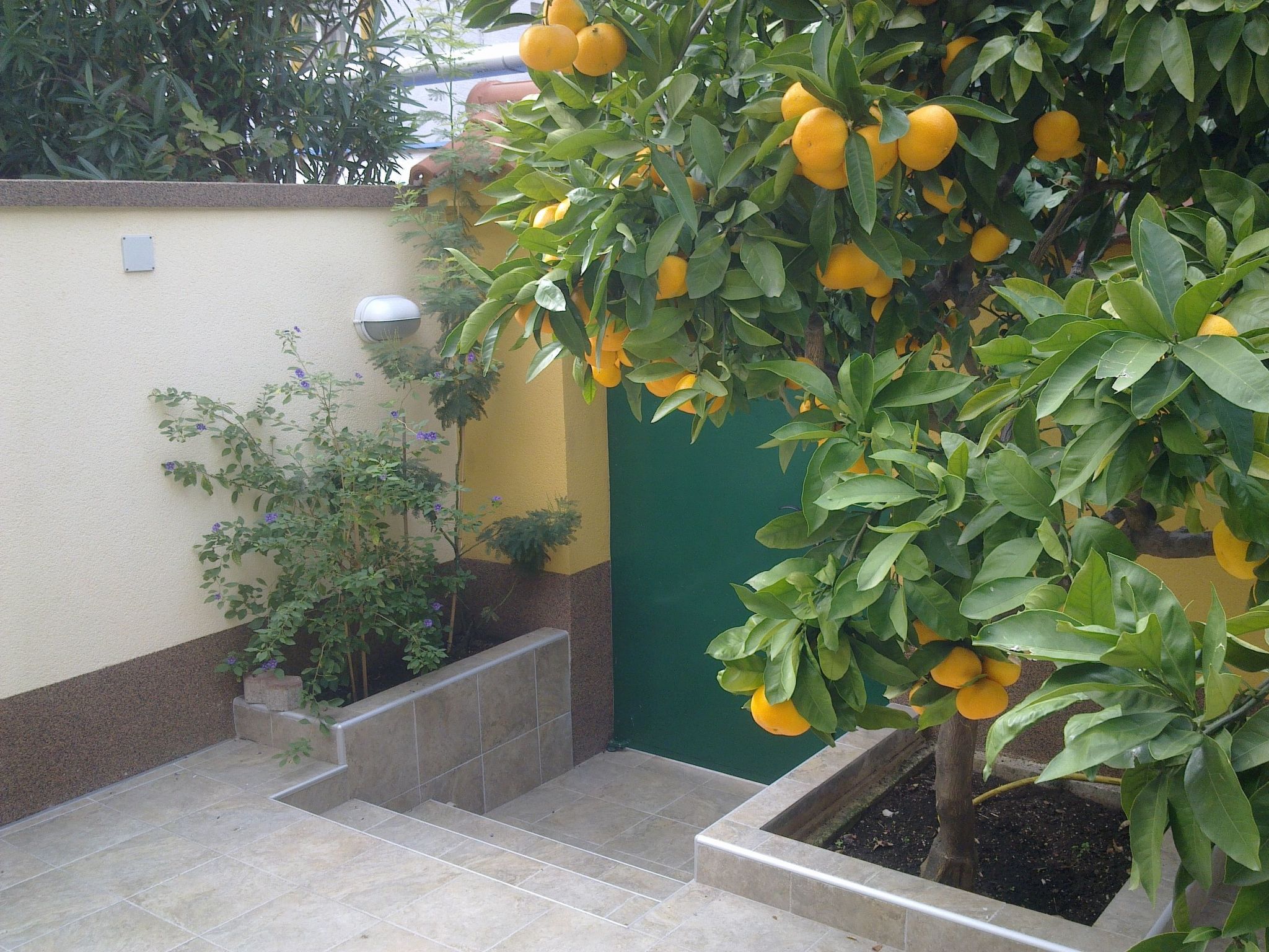 Photo of „Kleine Villa Tony“