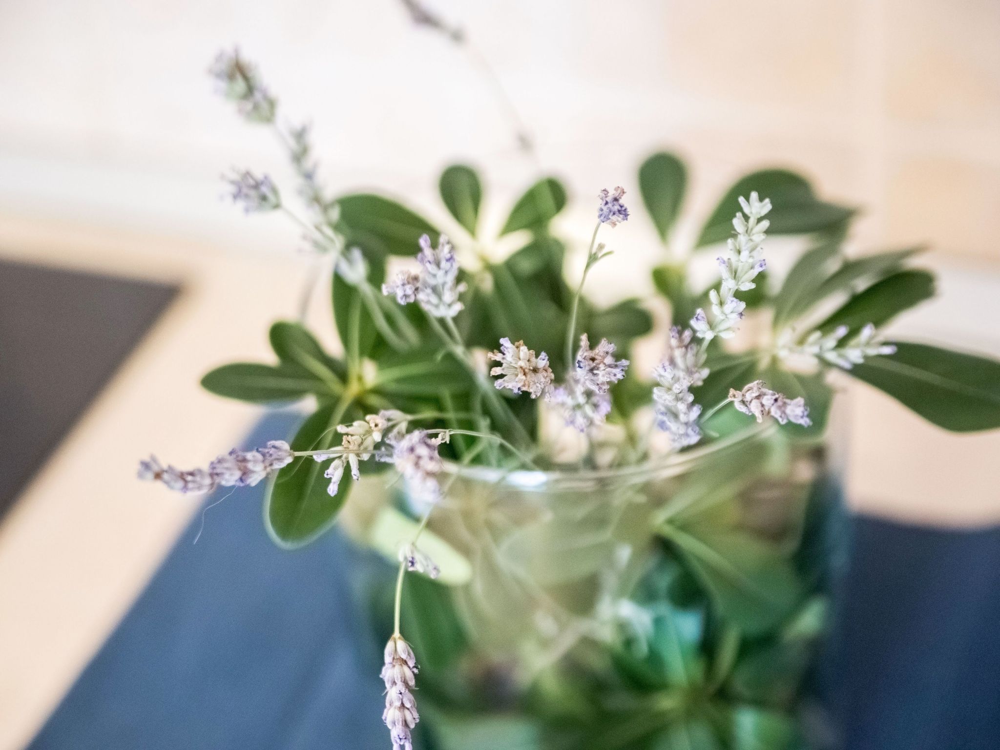 Photo of Wohnung für 6 Personen