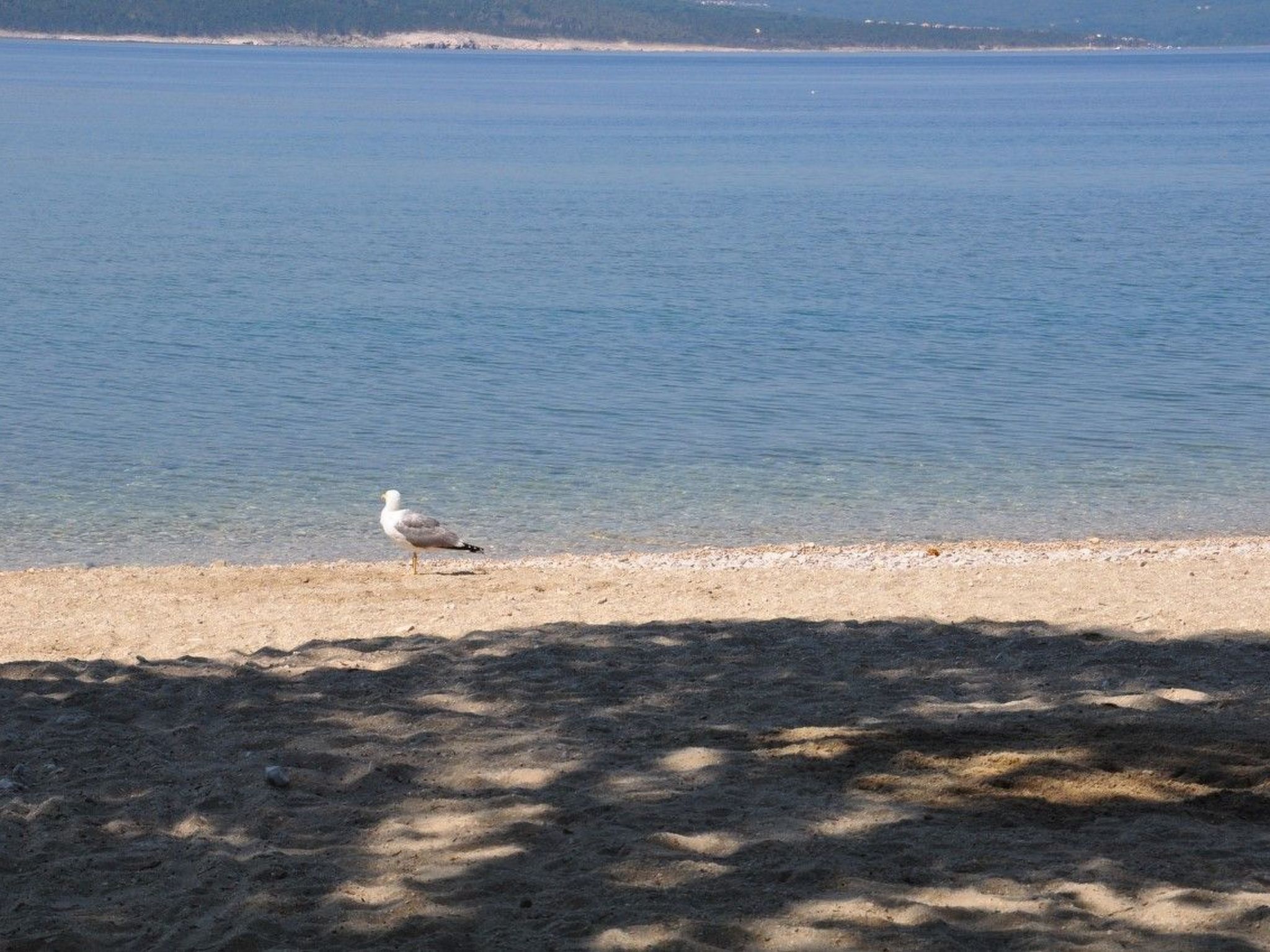 Photo of Wohnung für 6 Personen