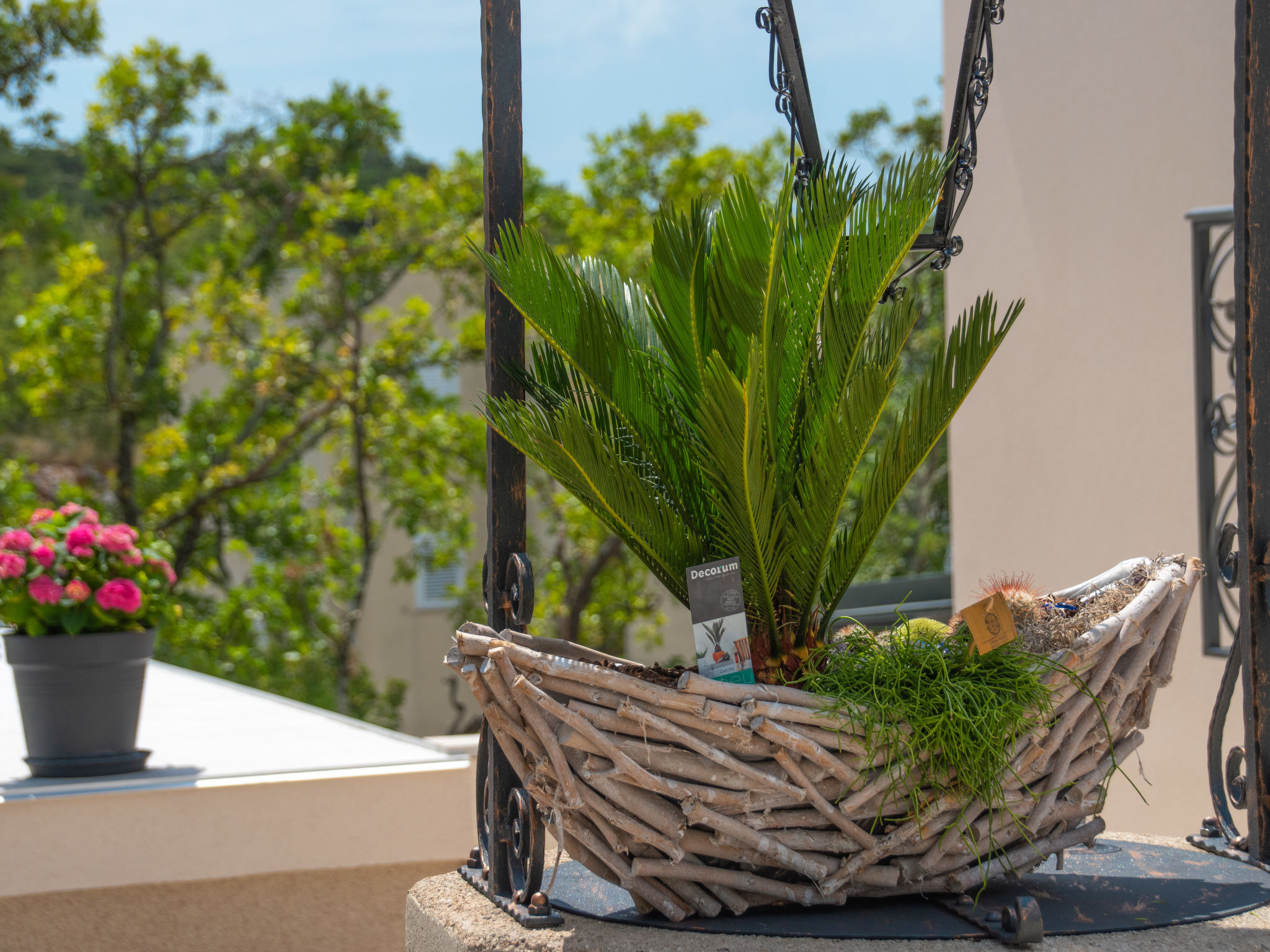 Photo of My Blue Wish