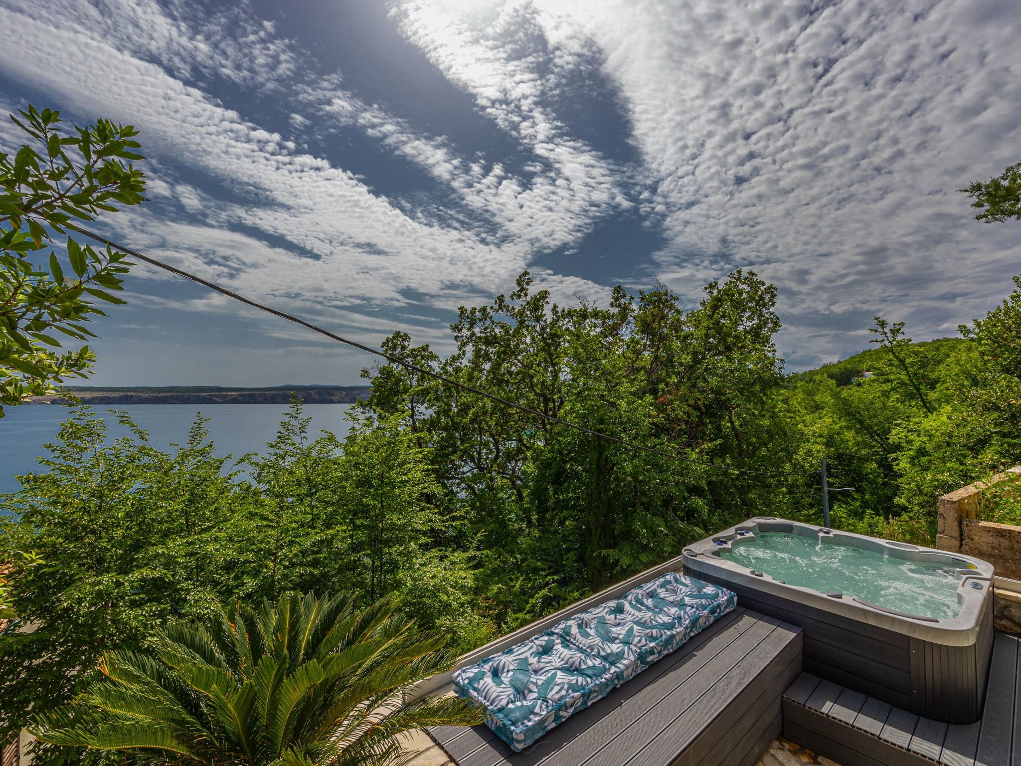 Villa Cikas Palmhouse