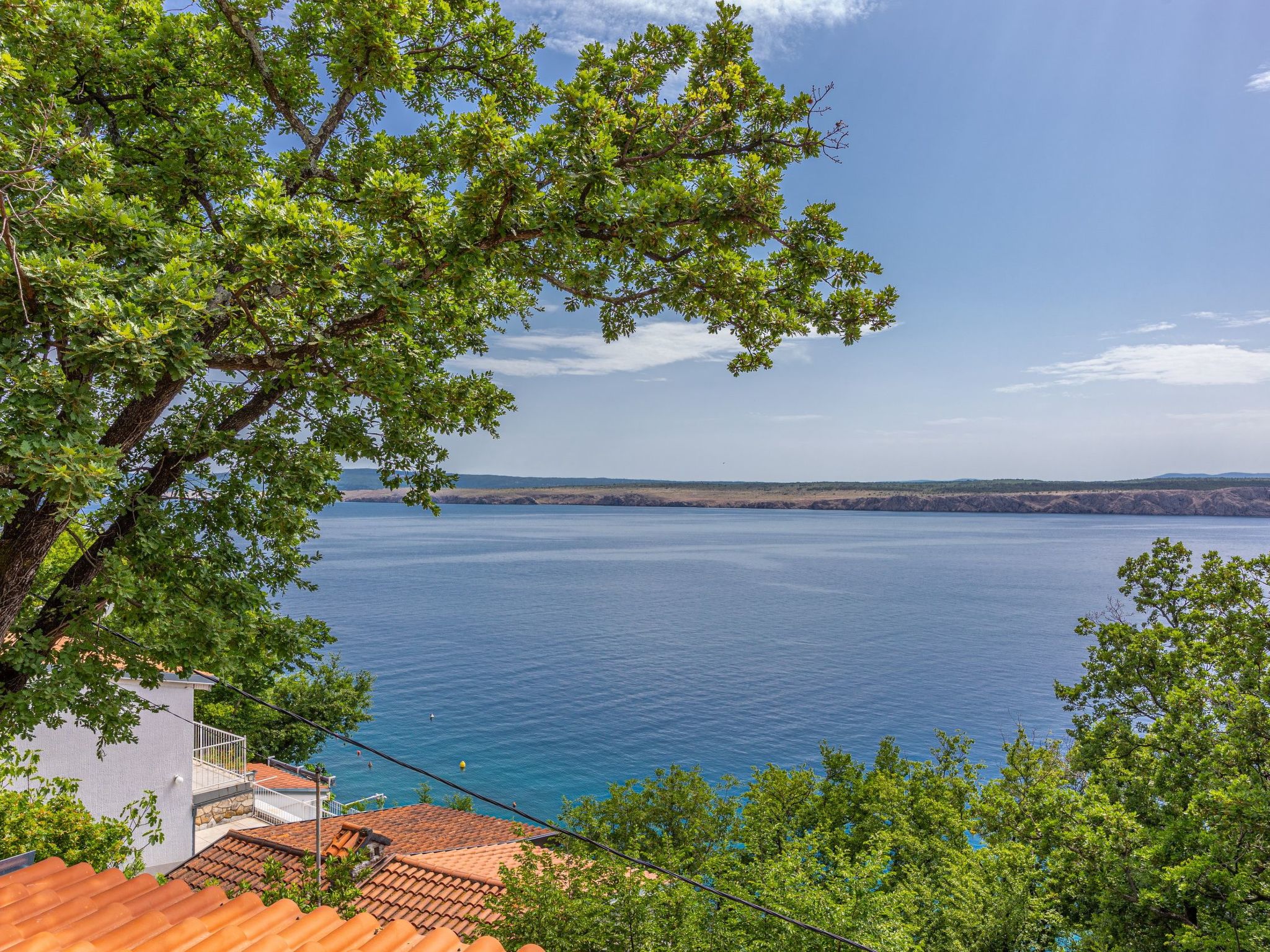 Villa Cikas Palmhouse-Draußen