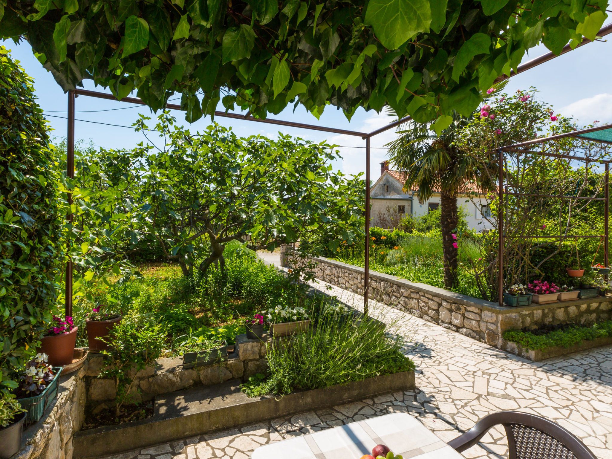 Photo of Andelka / HR-09490-01