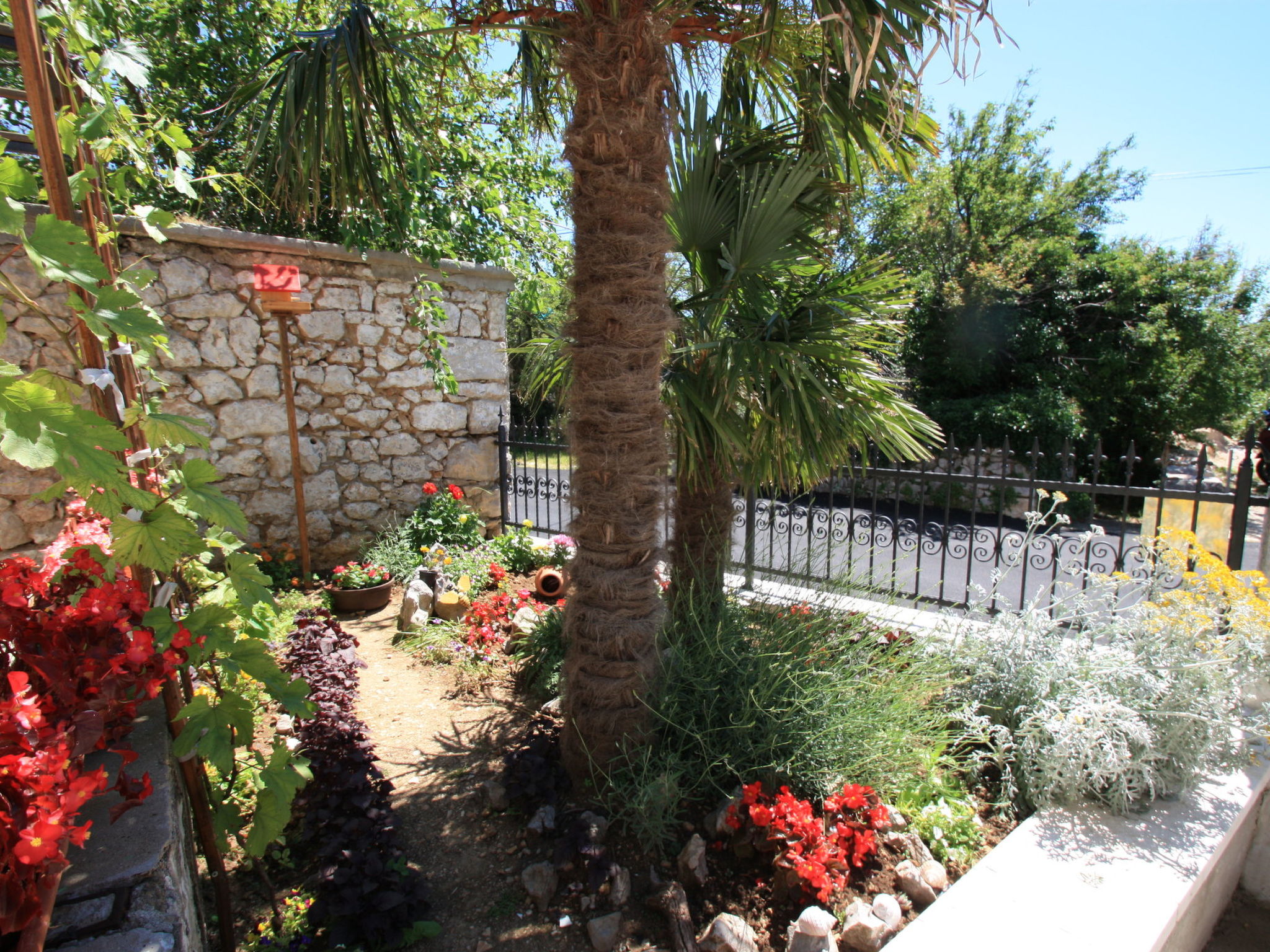 Photo of BRNIC 3 / HR-10054-01