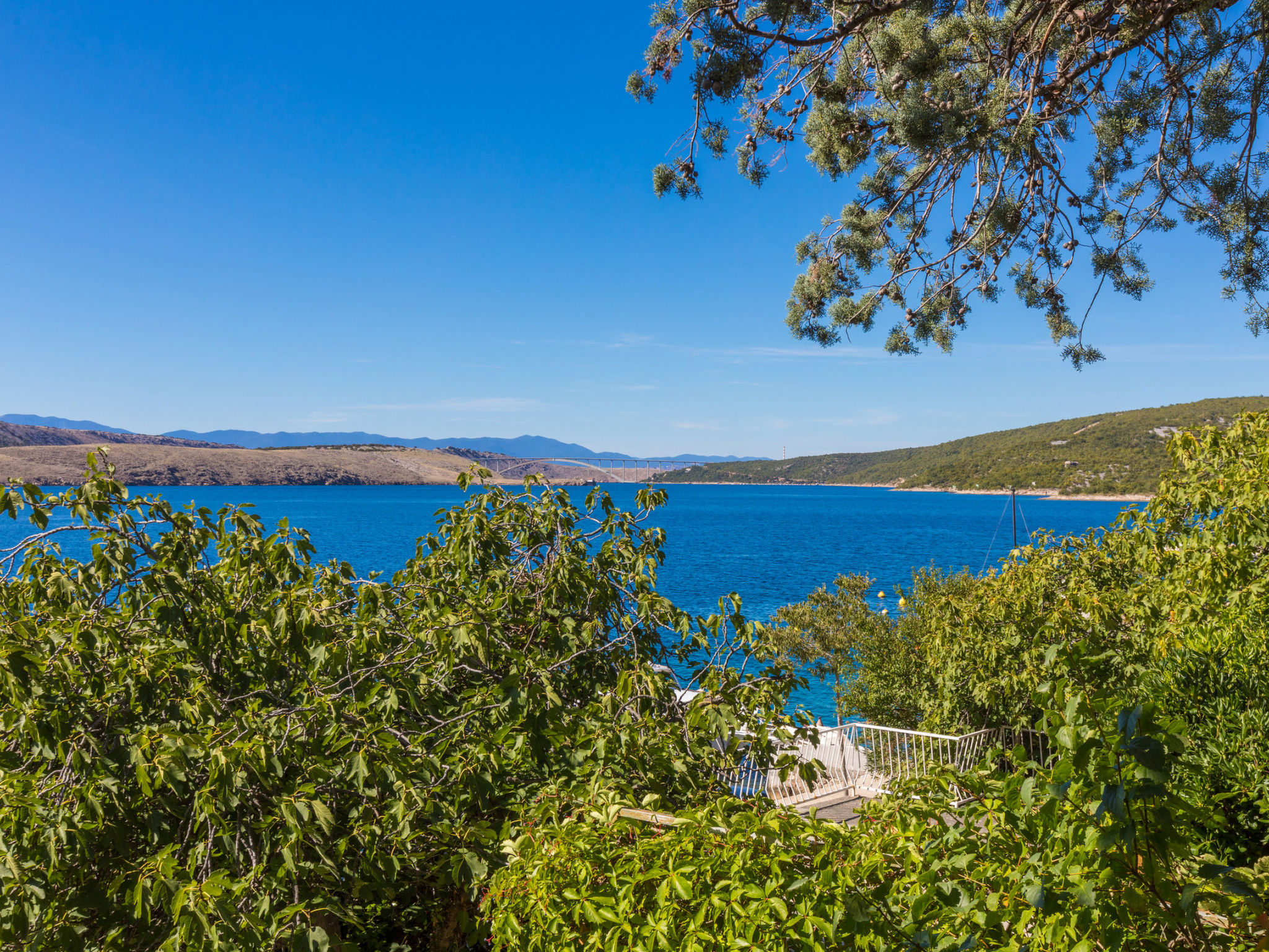 Photo of ANTONIA / HR-01846-01