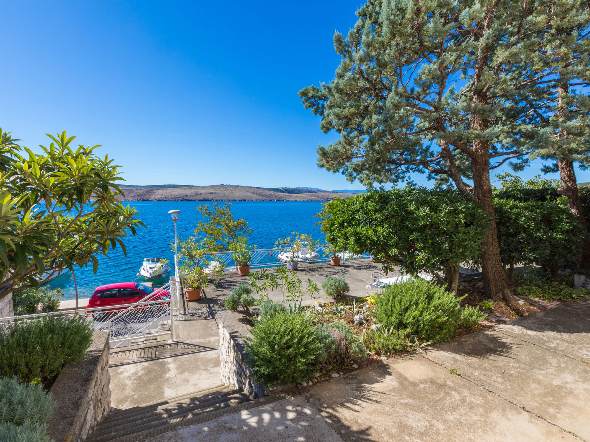 Photo of ANTONIA / HR-01846-01