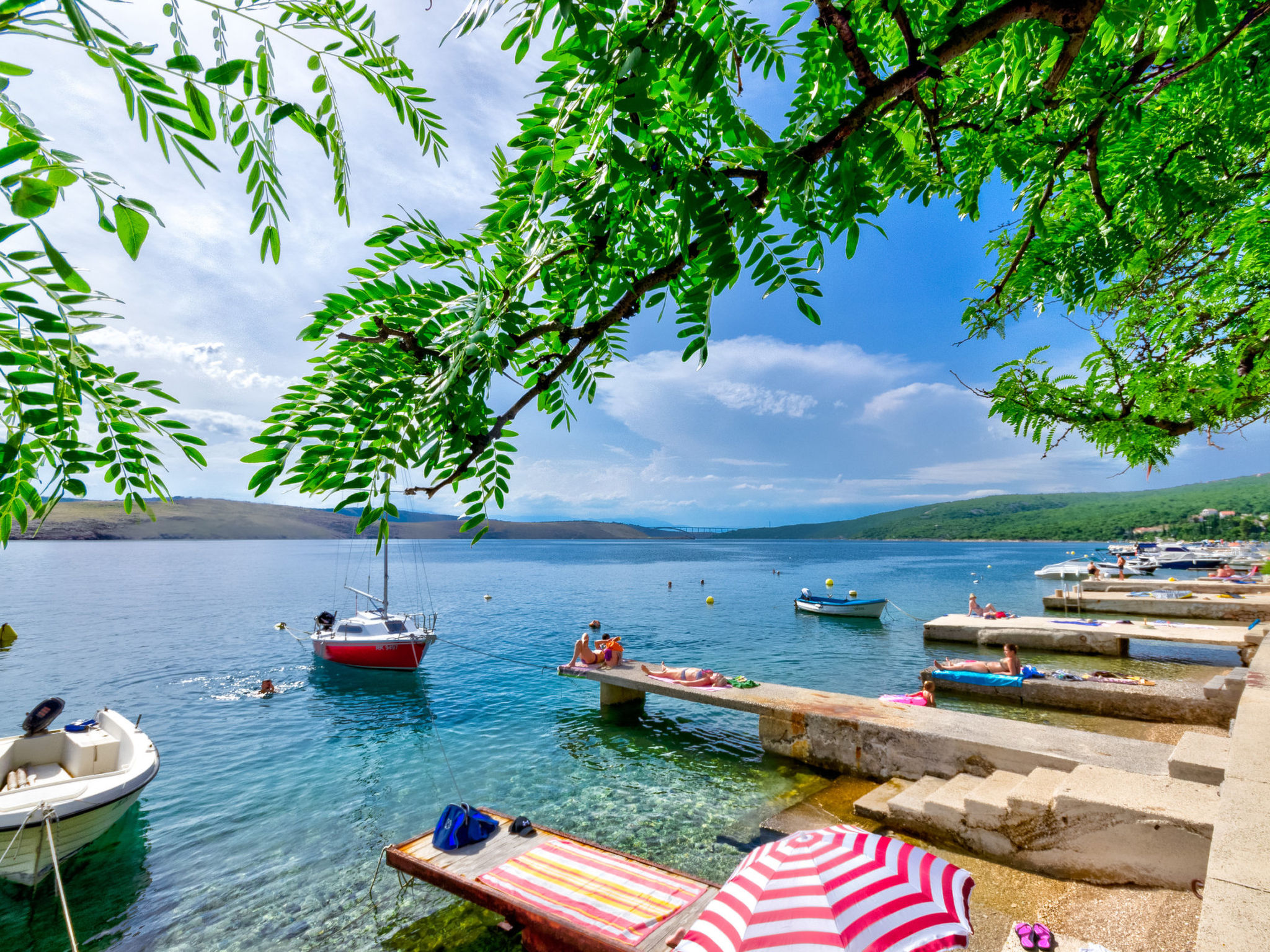 Photo of BRNIC / HR-08002-01