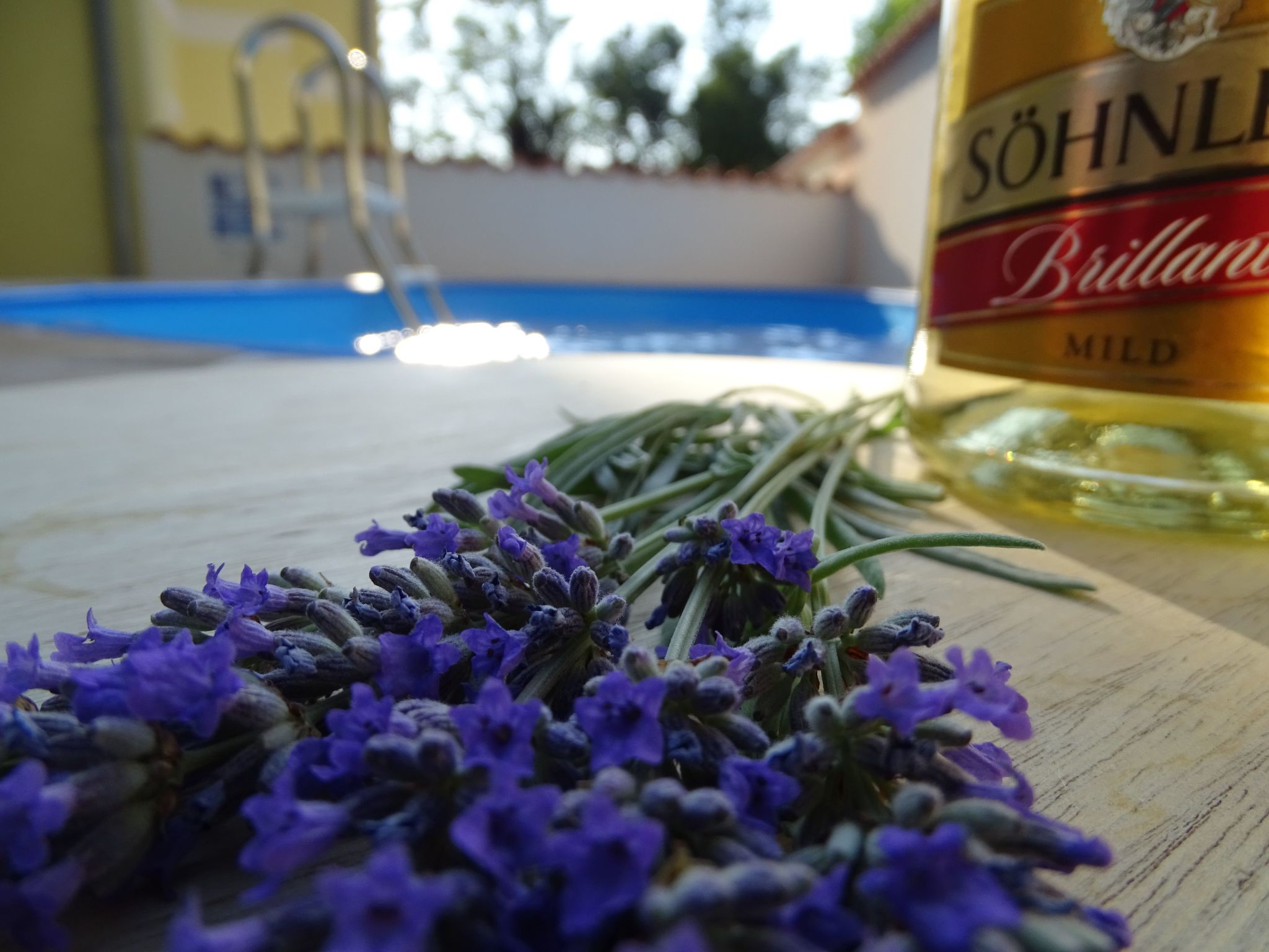 "Vila Chiara" mit Pool-Binnen