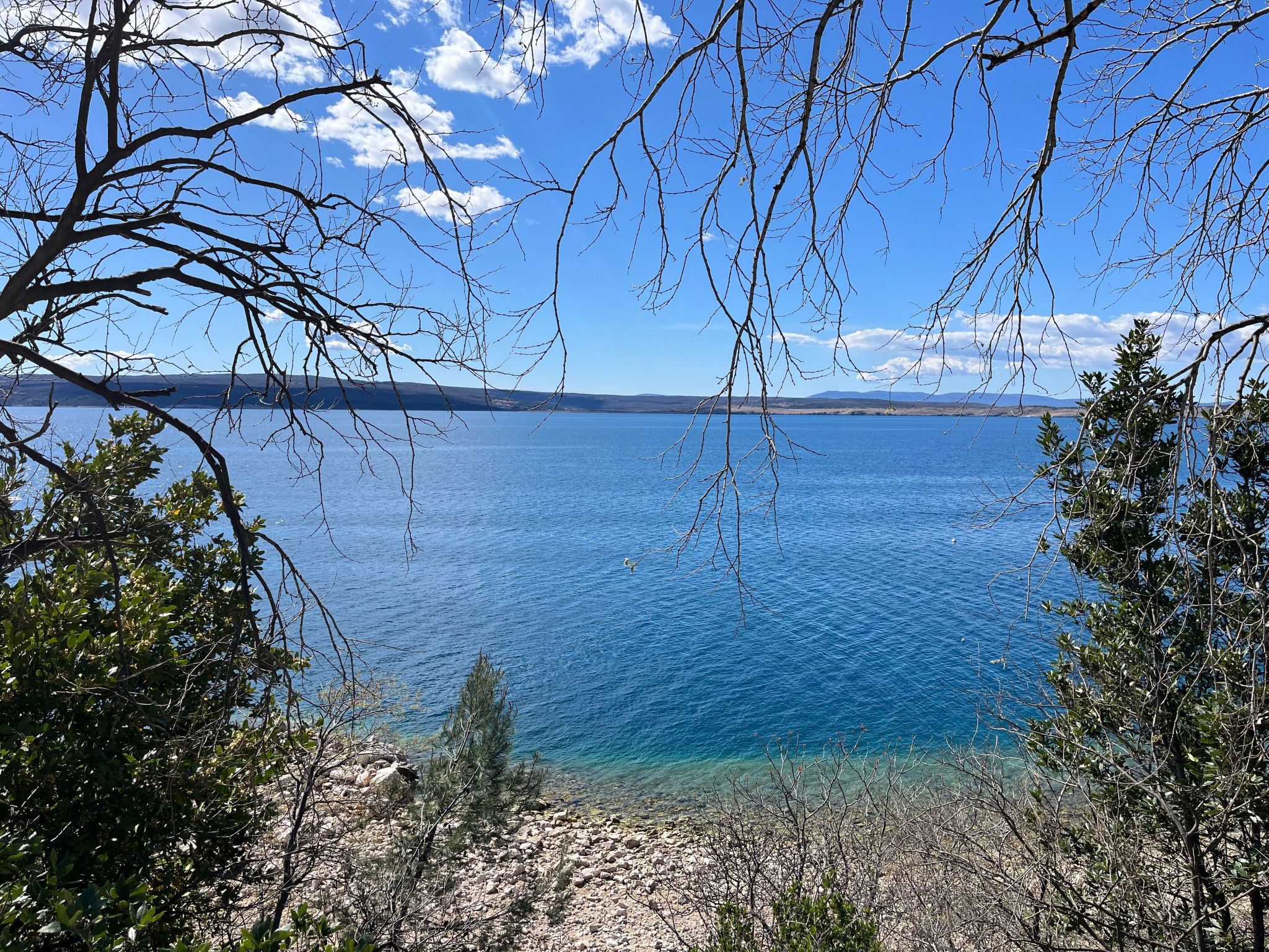 Apartment Golden Sun