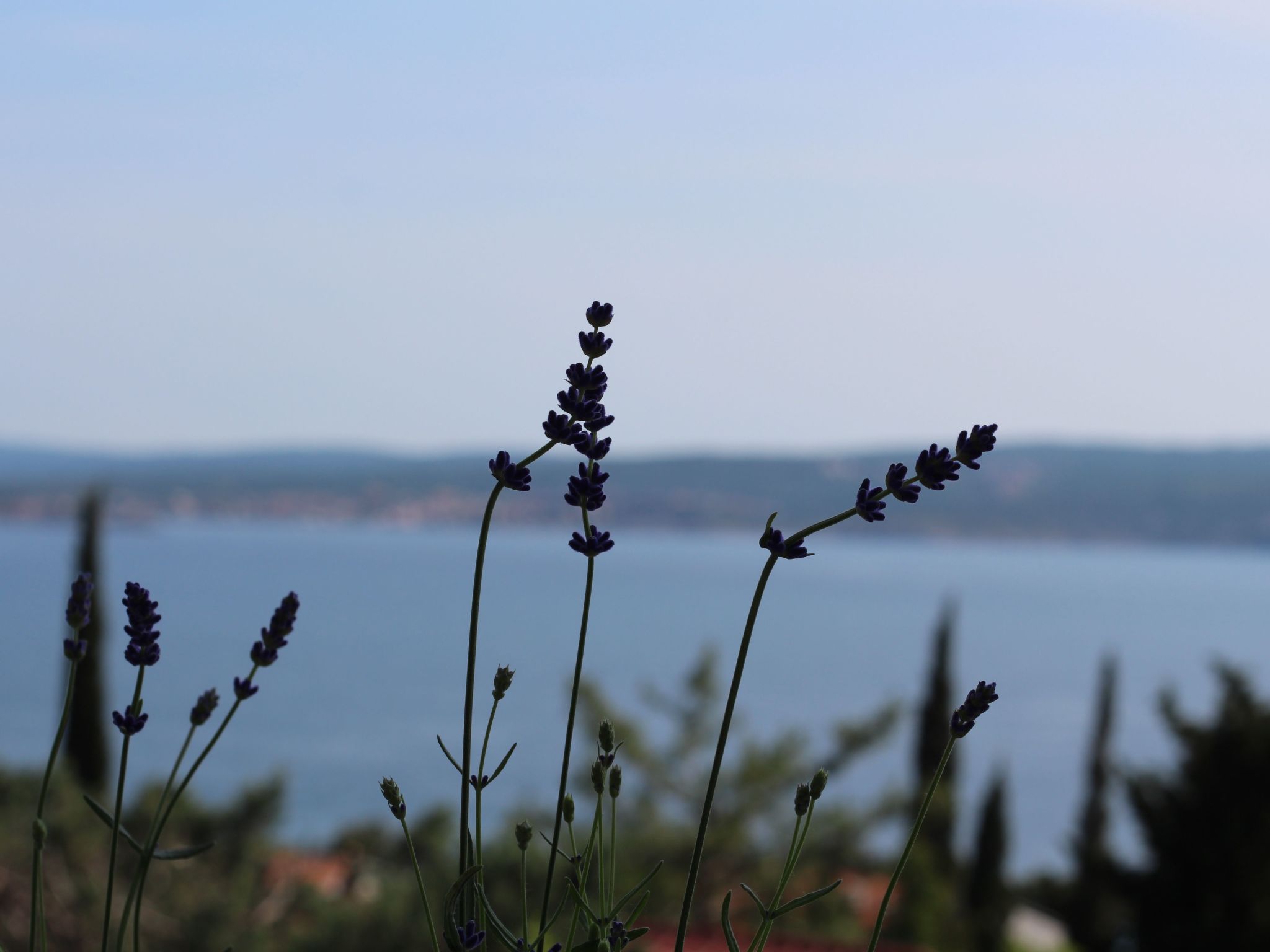 Photo of Appartement in Dramalj