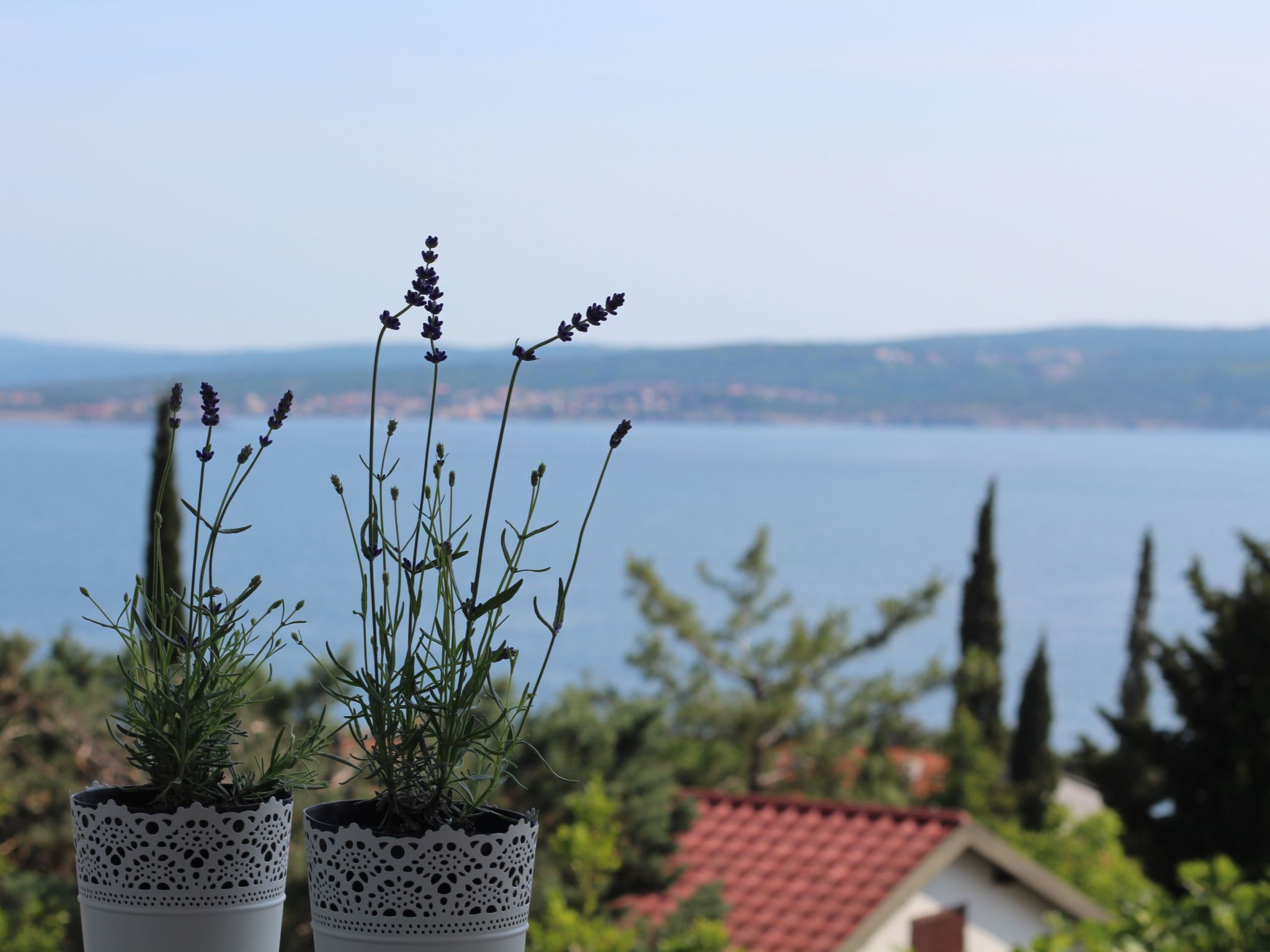 Photo of Appartement in Dramalj