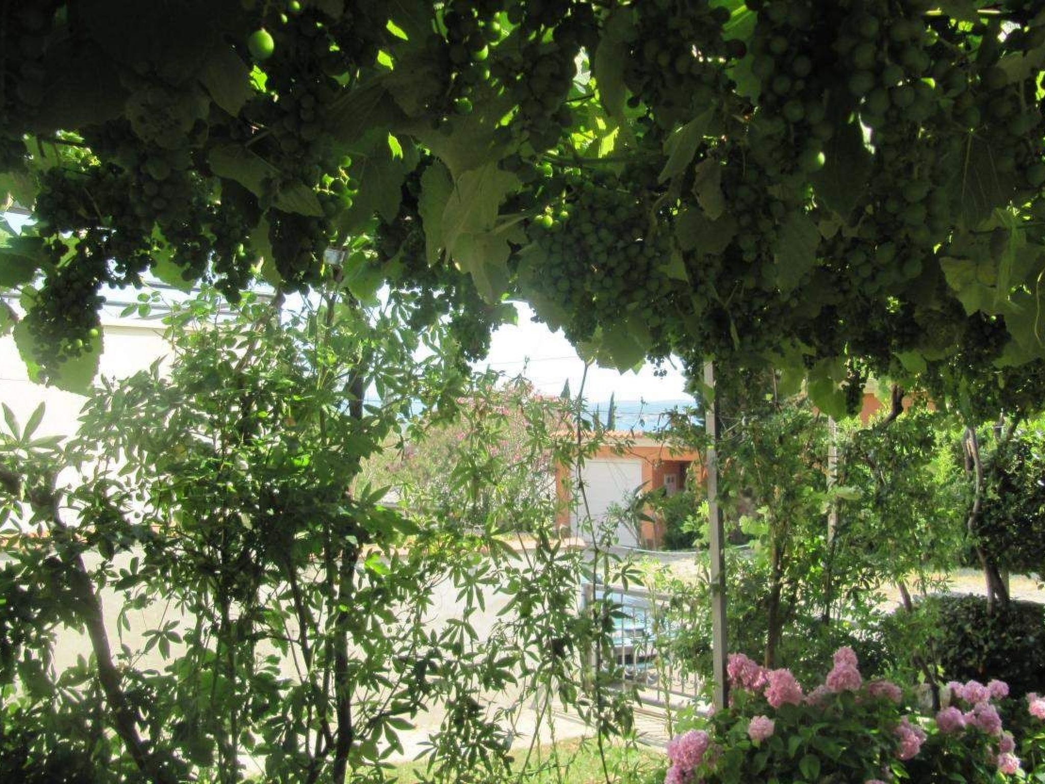 Photo of Appartement in Dramalj mit Terrasse