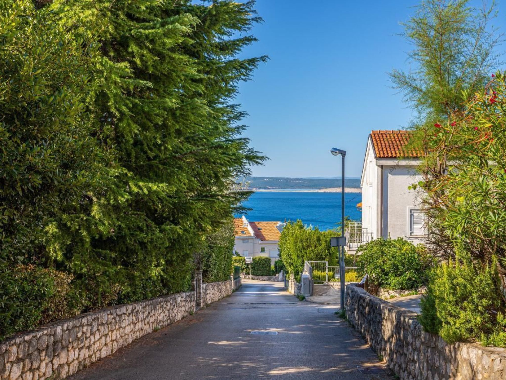 Apartment Mira-Image-tags.info