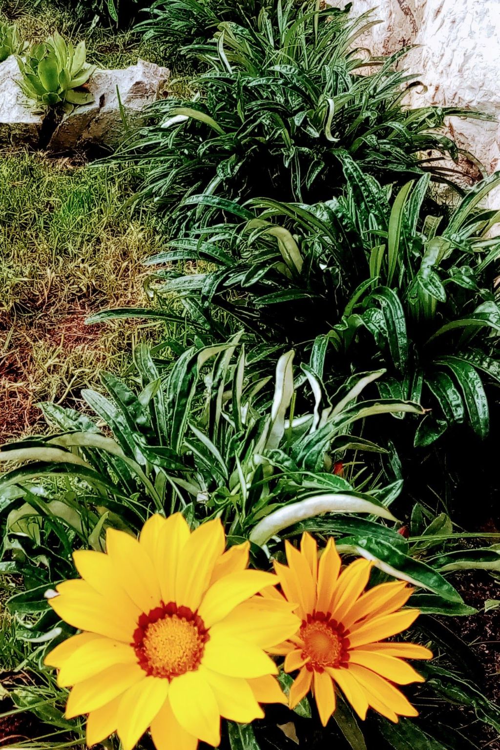 Vintage Residenc Dramalj - Pool zur Selbstnutzung-Image-tags.info