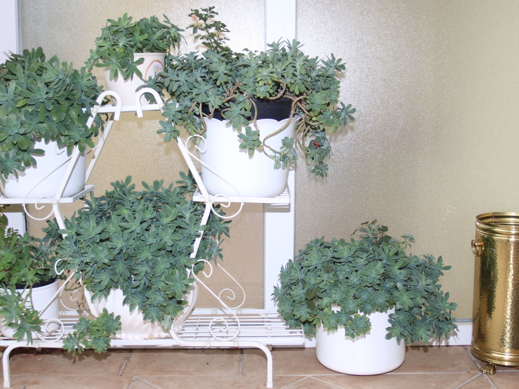 Haus La Dostana-Inside