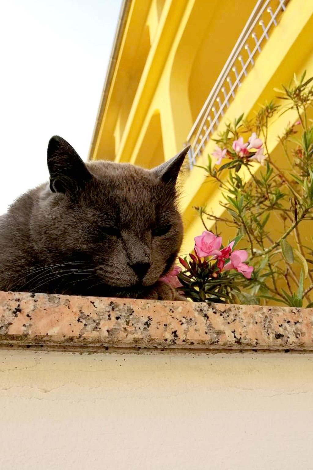 Haus La Dostana-Outside