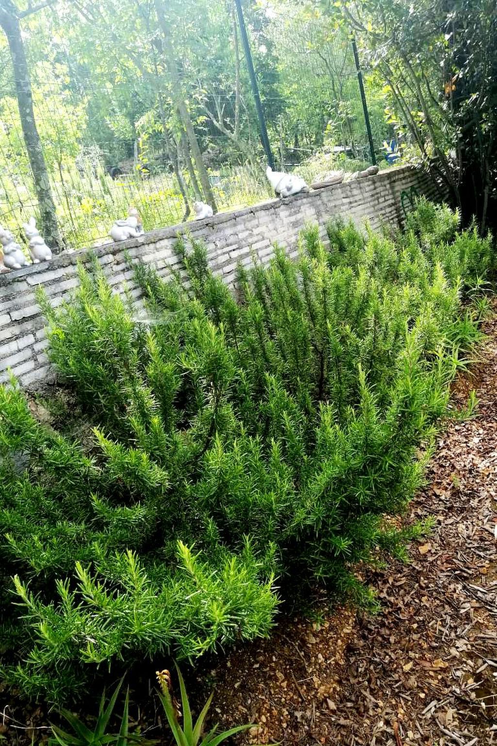 Photo of Haus La Dostana