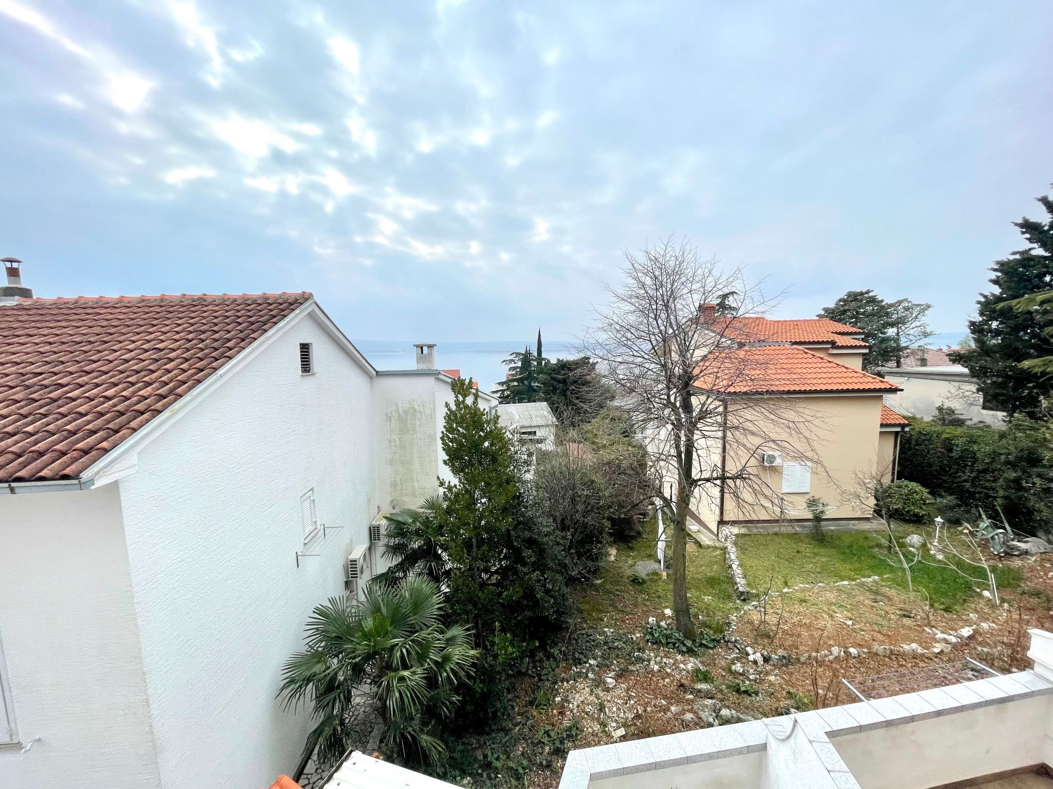 Ranko-Image-tags.info