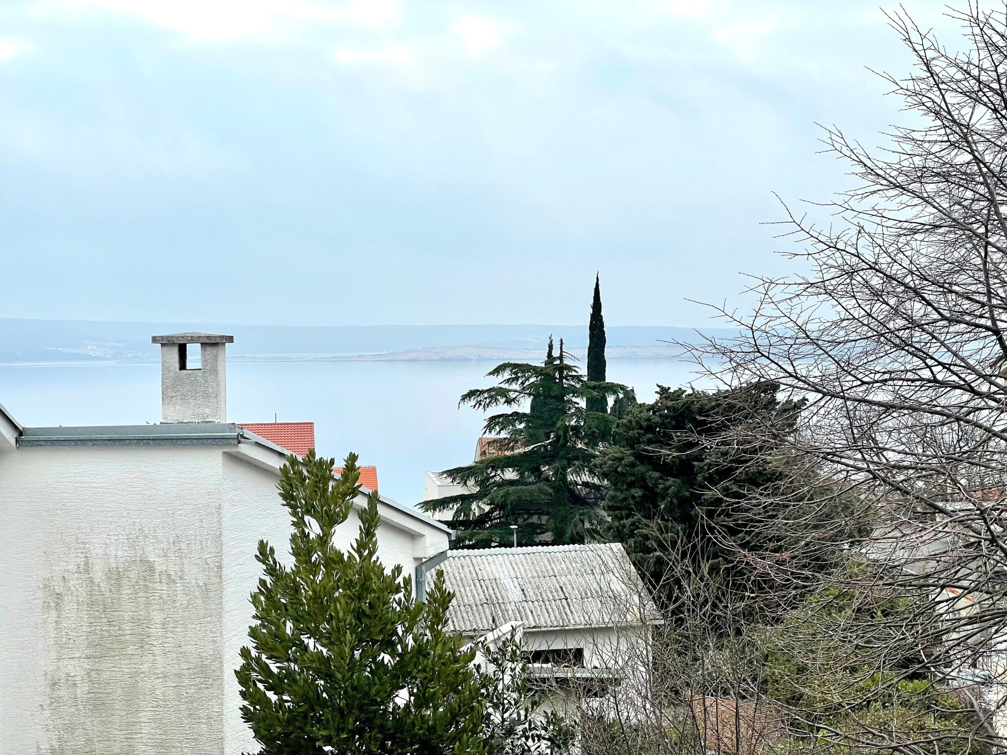 Ranko-Image-tags.info