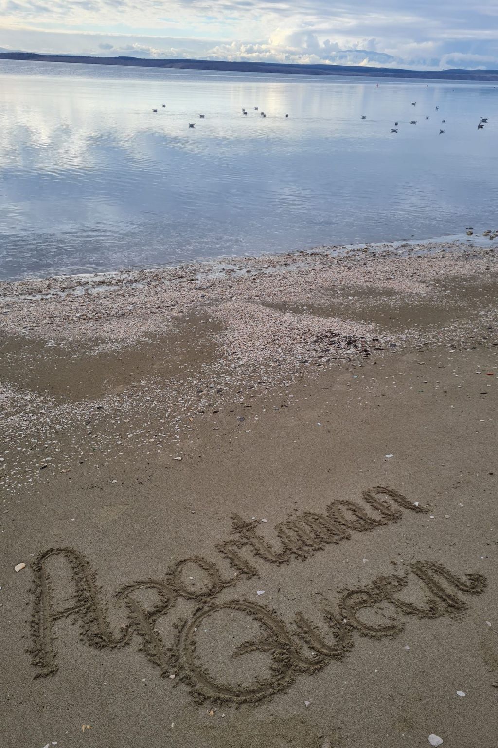 Photo of Apartment Queen