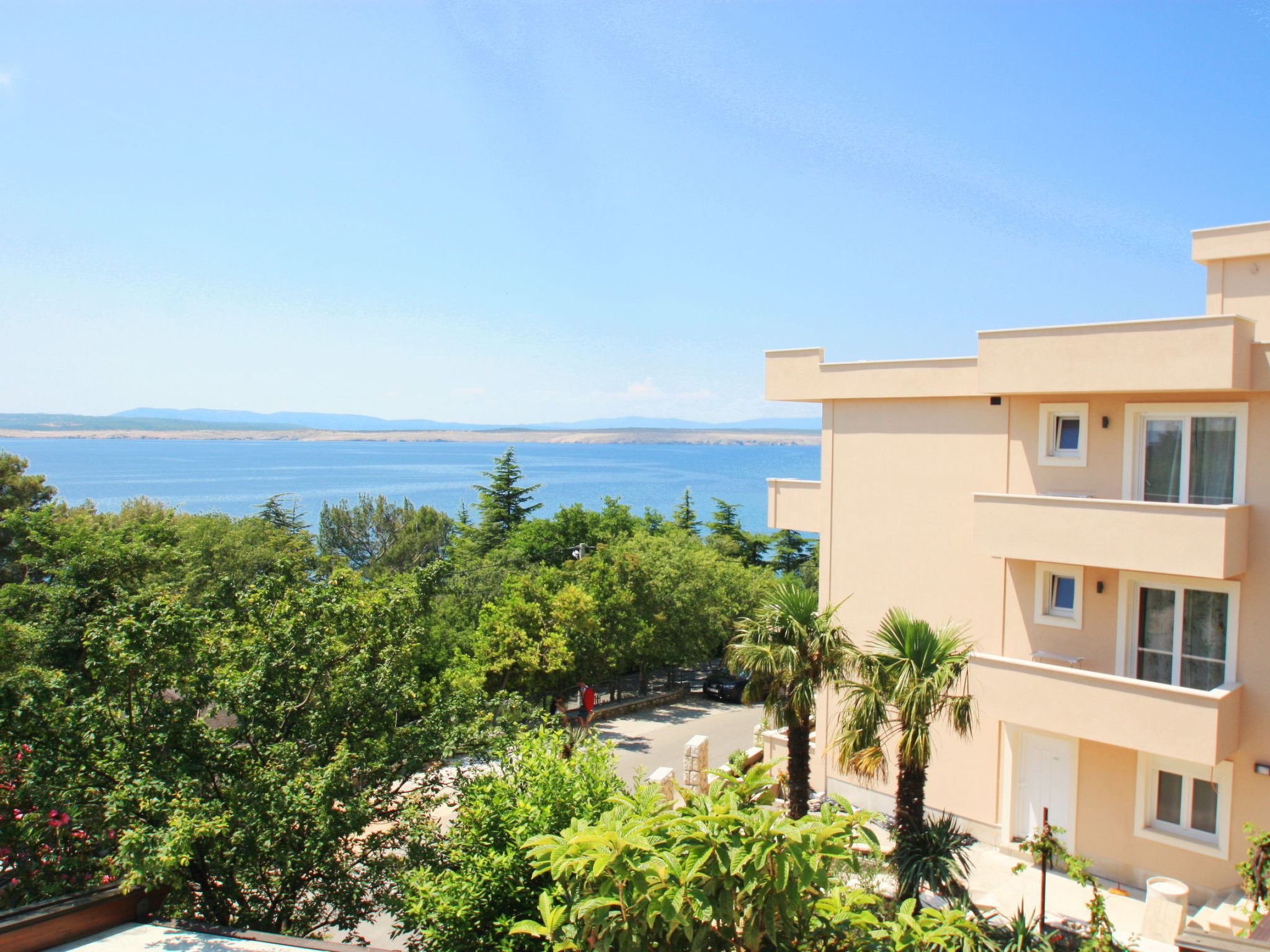 Photo of DOMINO Brown (12) / HR-09132-01