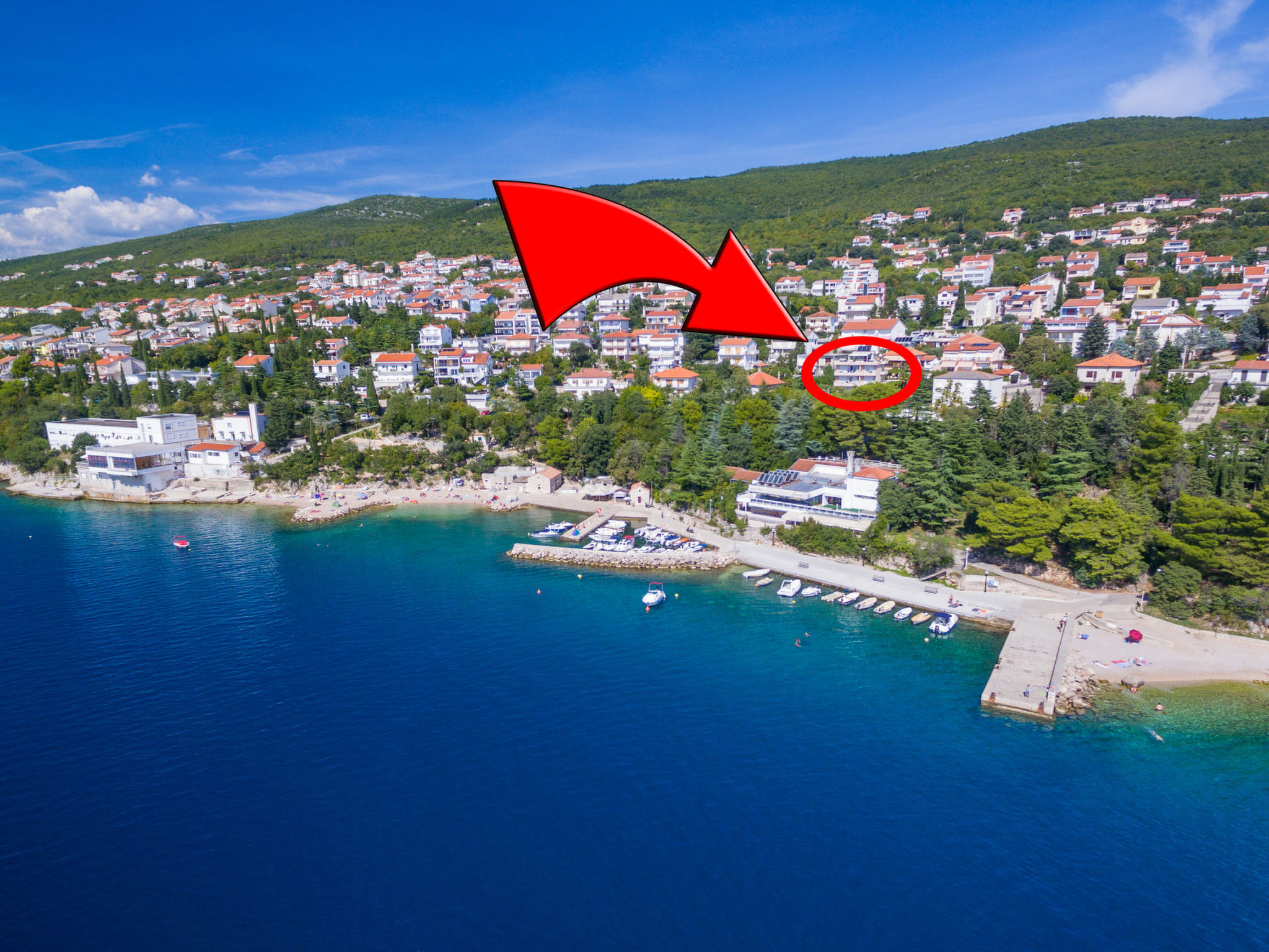 Photo of DOMINO Silver (14) / HR-09132-02