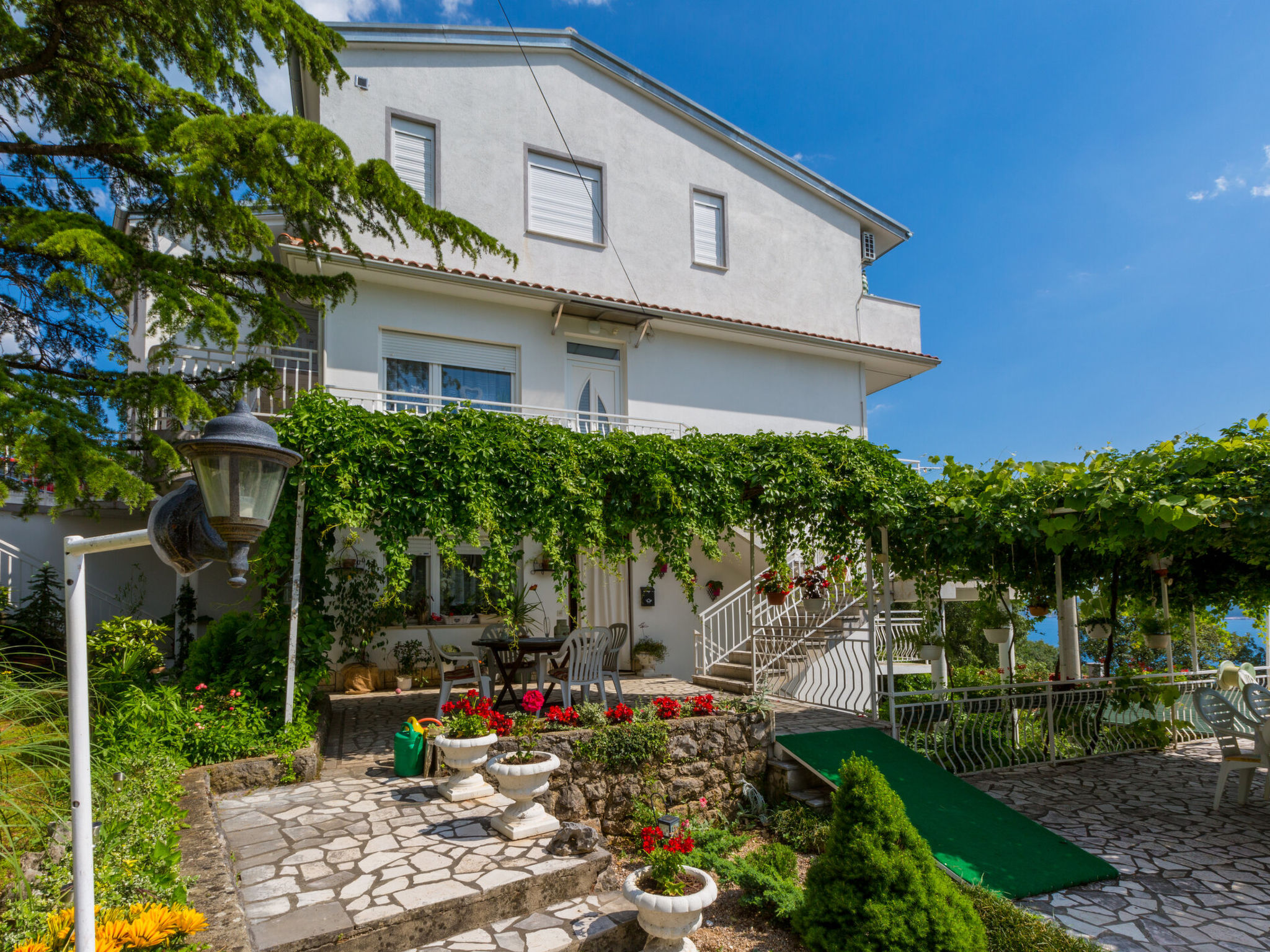 Photo of ELLA 2 / HR-02352-02