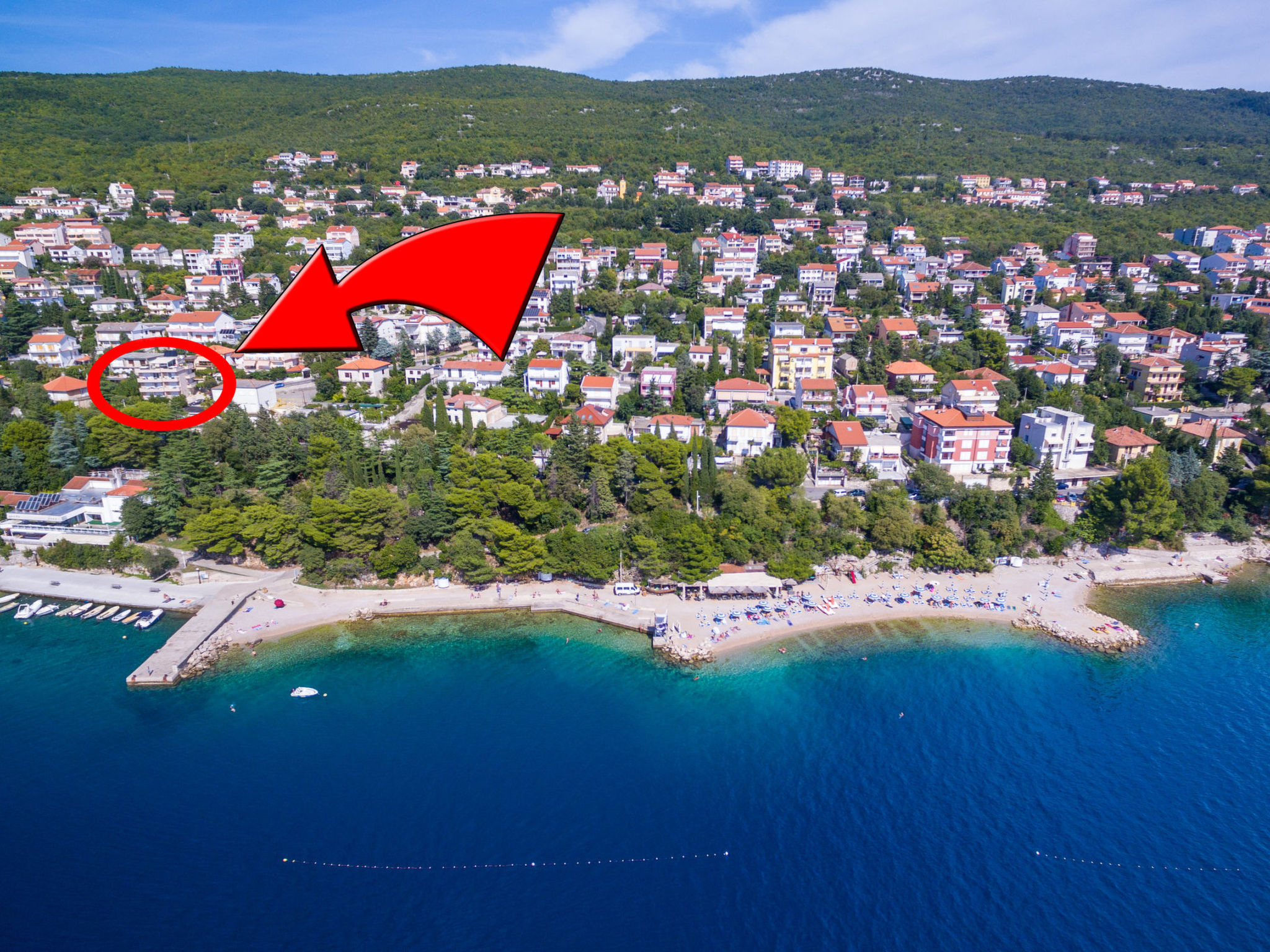 Photo of DOMINO Orange (8) / HR-09132-04