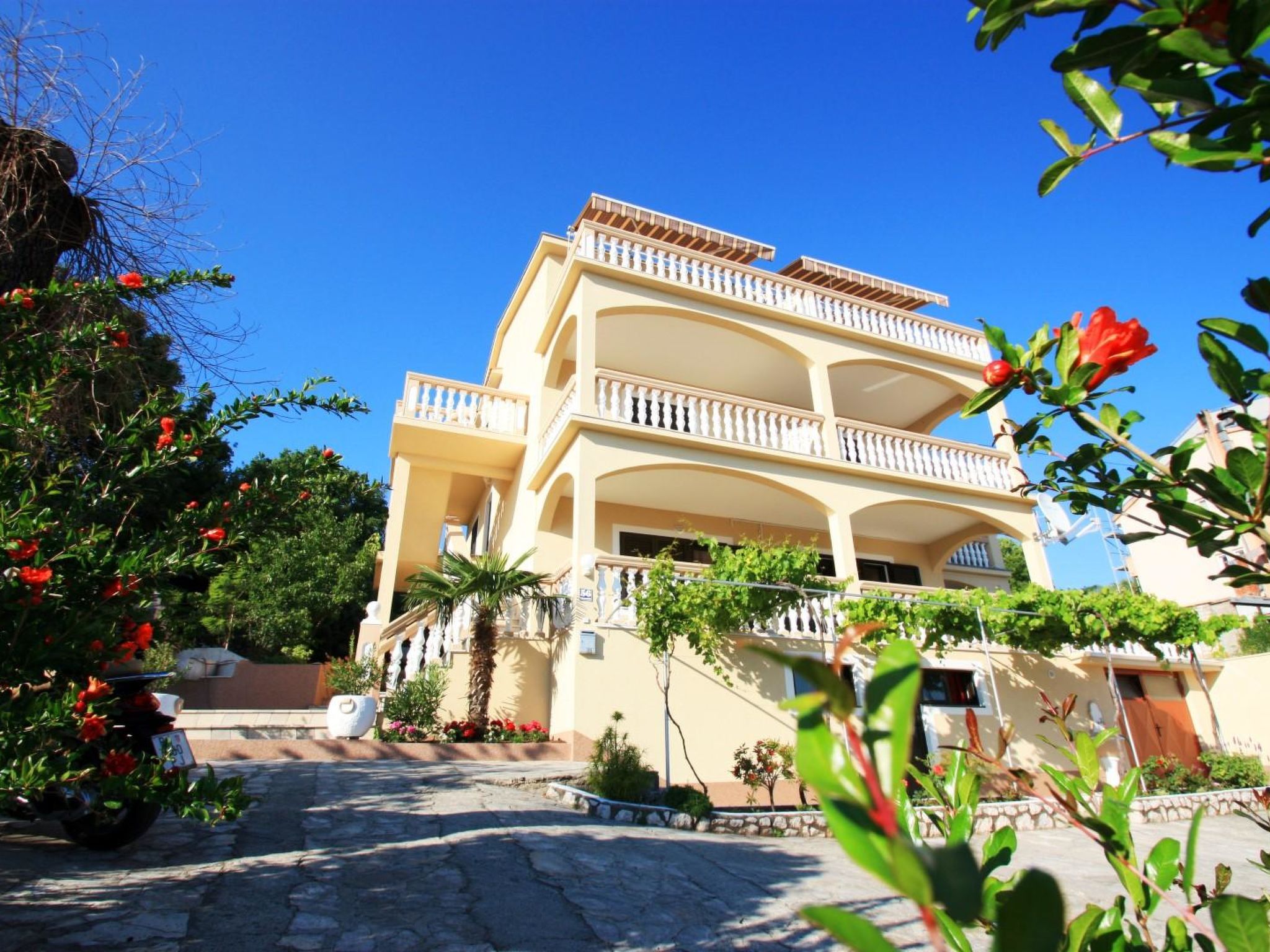 Photo of PAVICA 5 / HR-02417-05