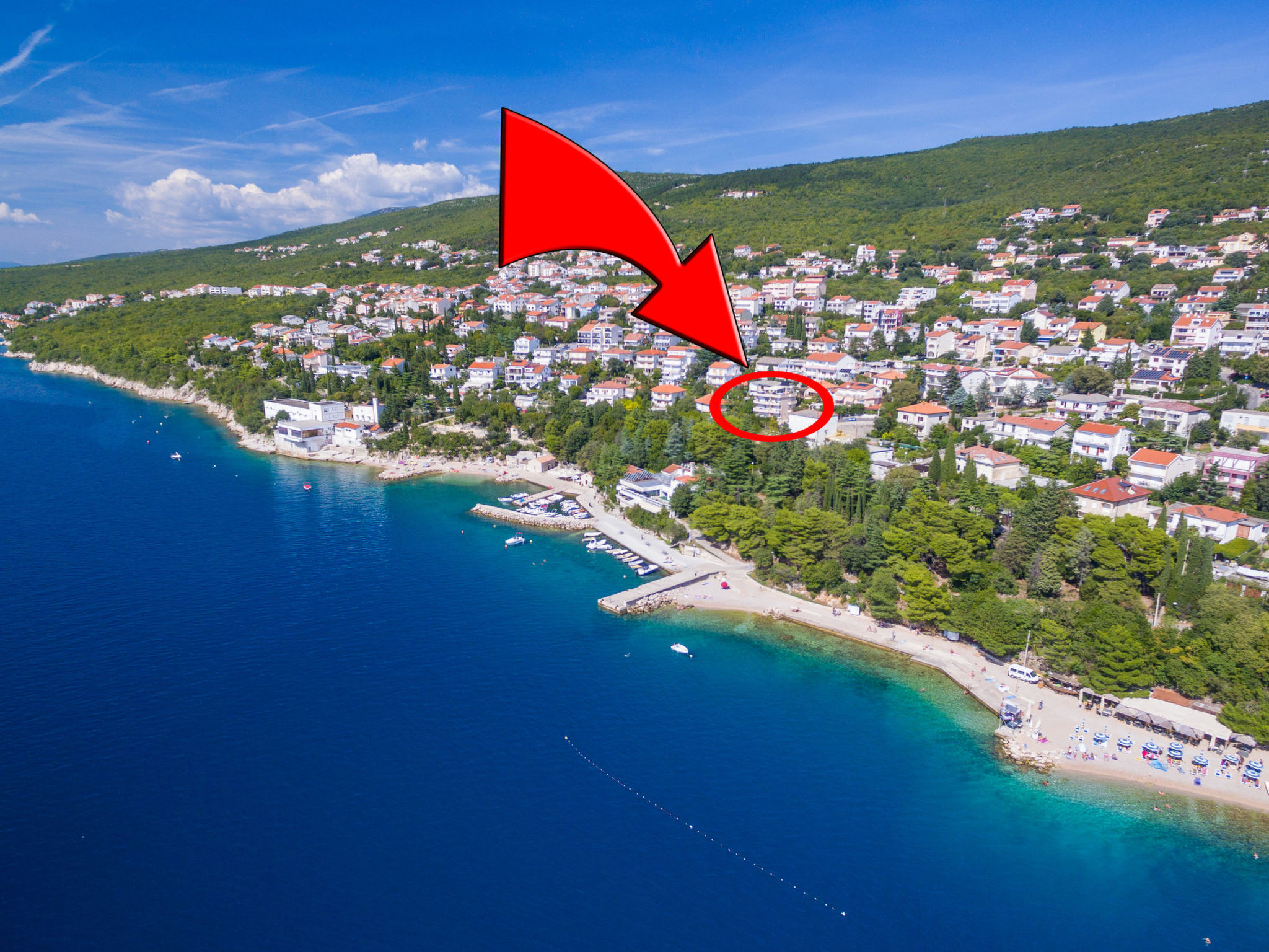 Photo of DOMINO Rustica (13) / HR-09132-06