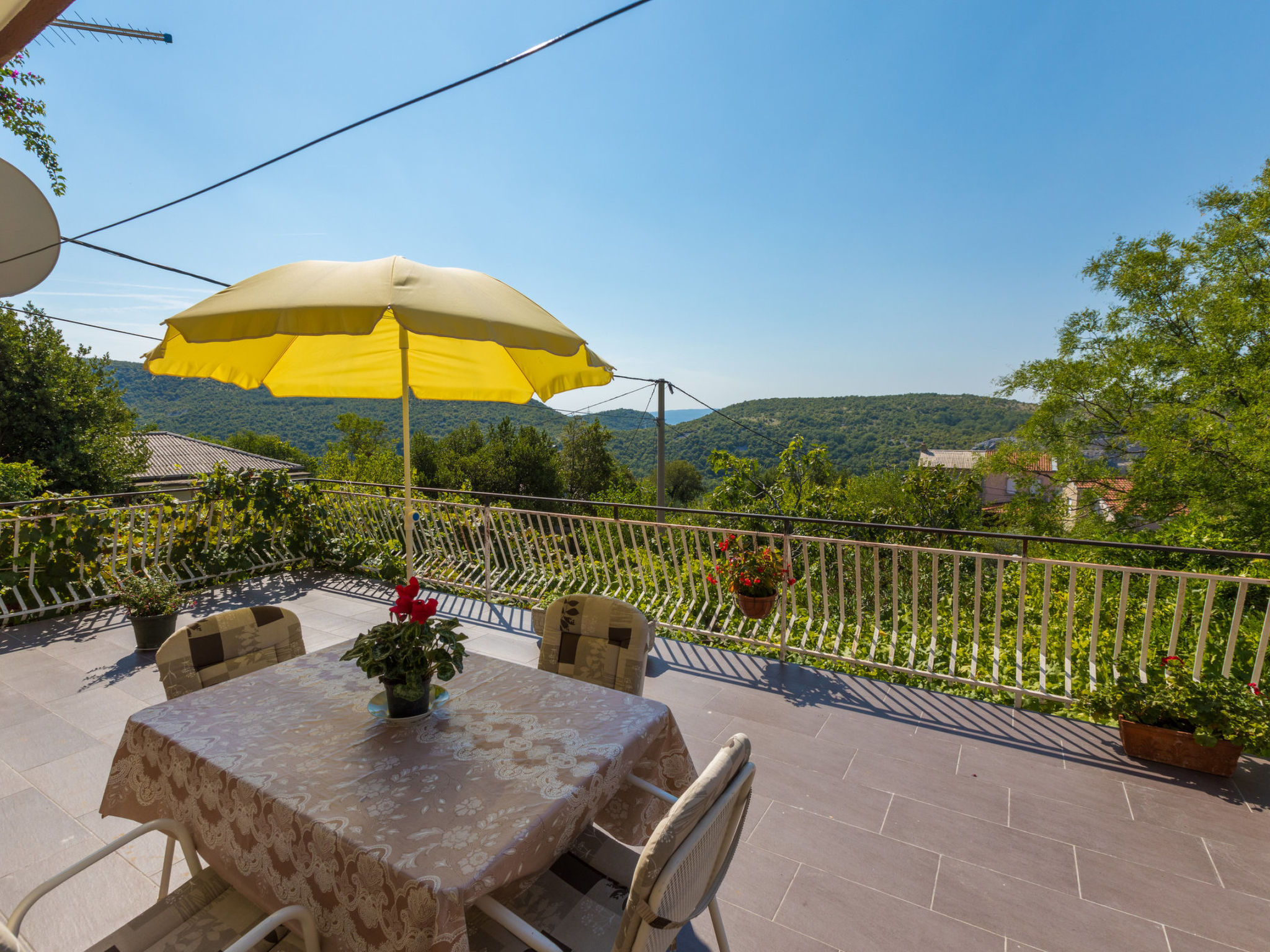 Photo of CUPKO 1 / HR-07270-01