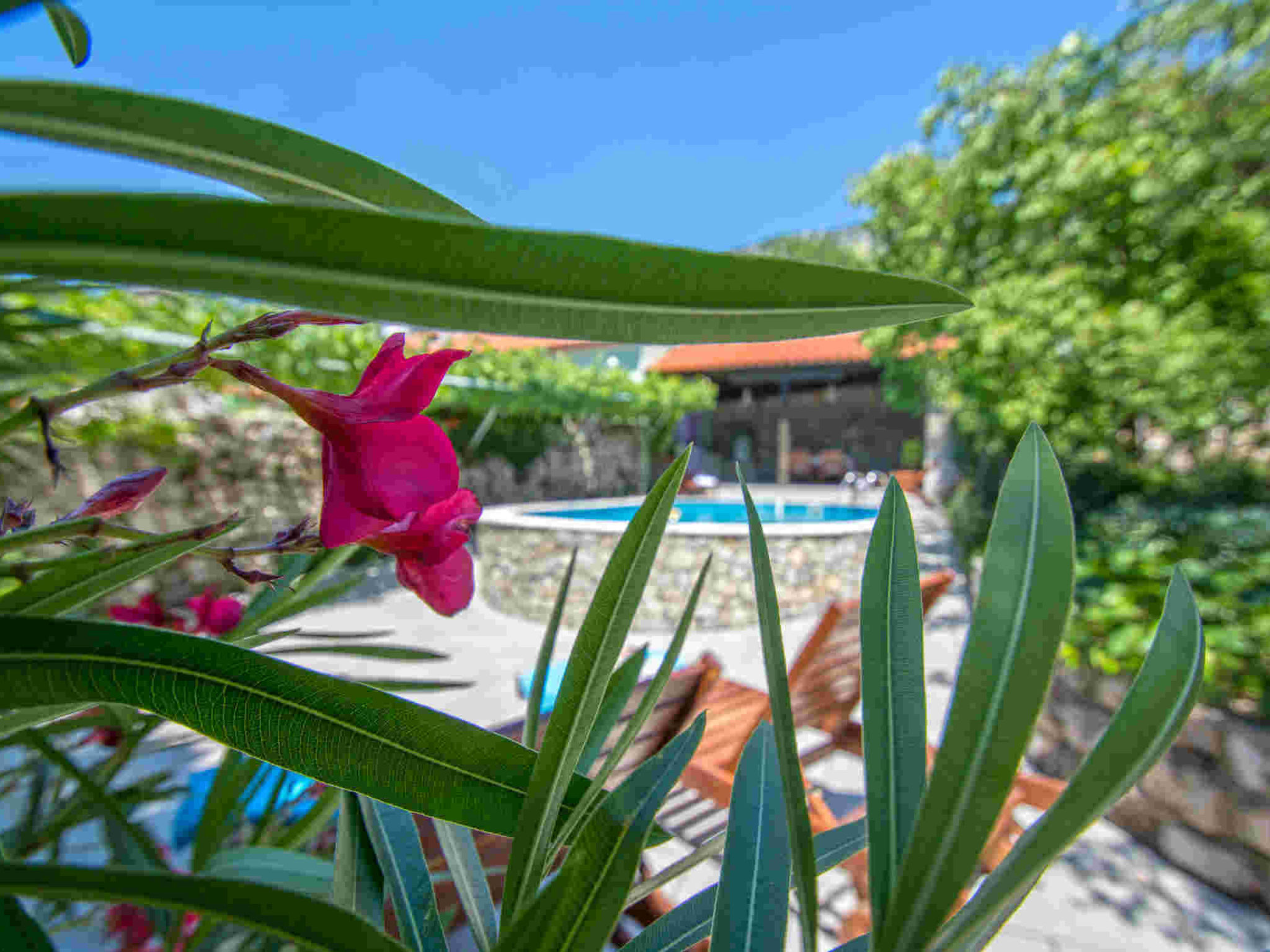 Kruzic kuca / HR-09573-01 Apartment in Cirkvenica Riviera