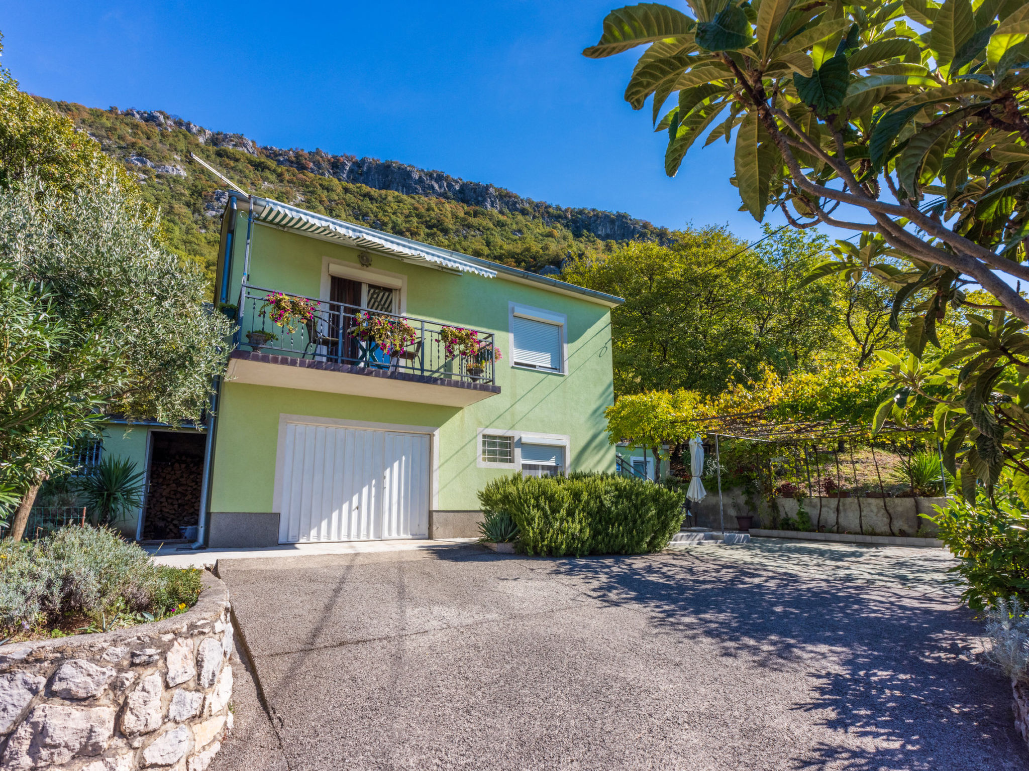 Photo of Francisko / HR-10477-01