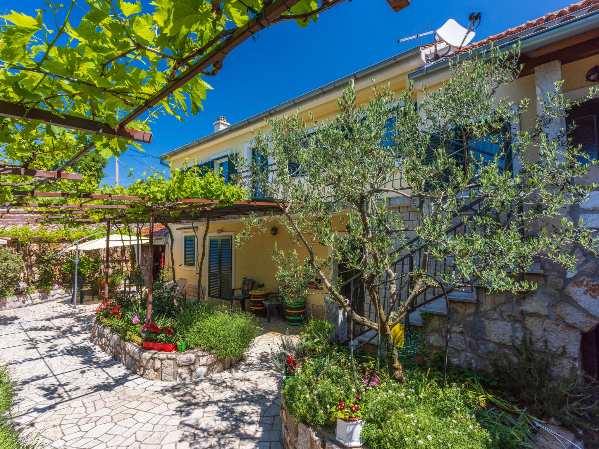 Photo of MANAS / HR-10925-01