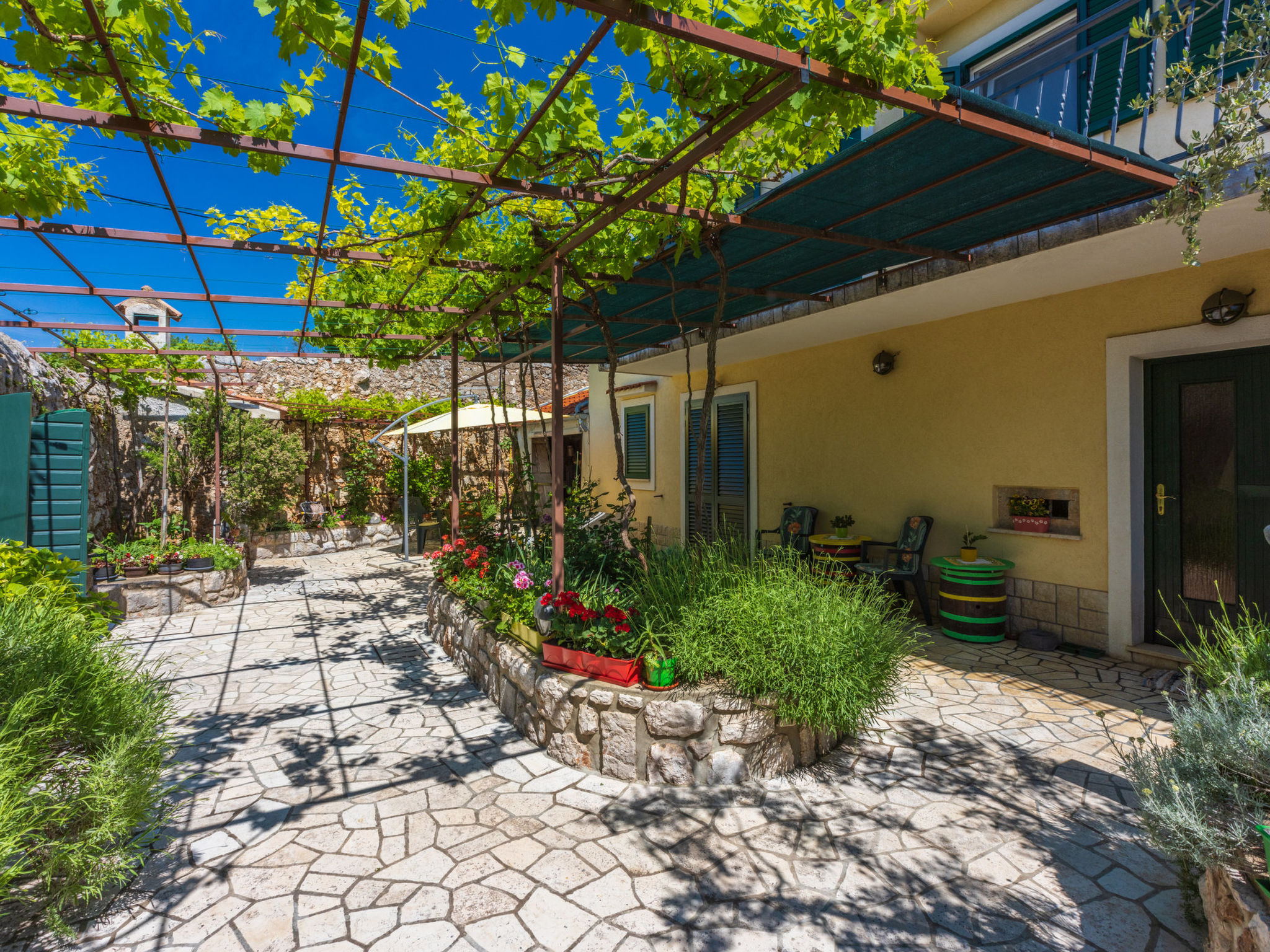 Photo of MANAS / HR-10925-01