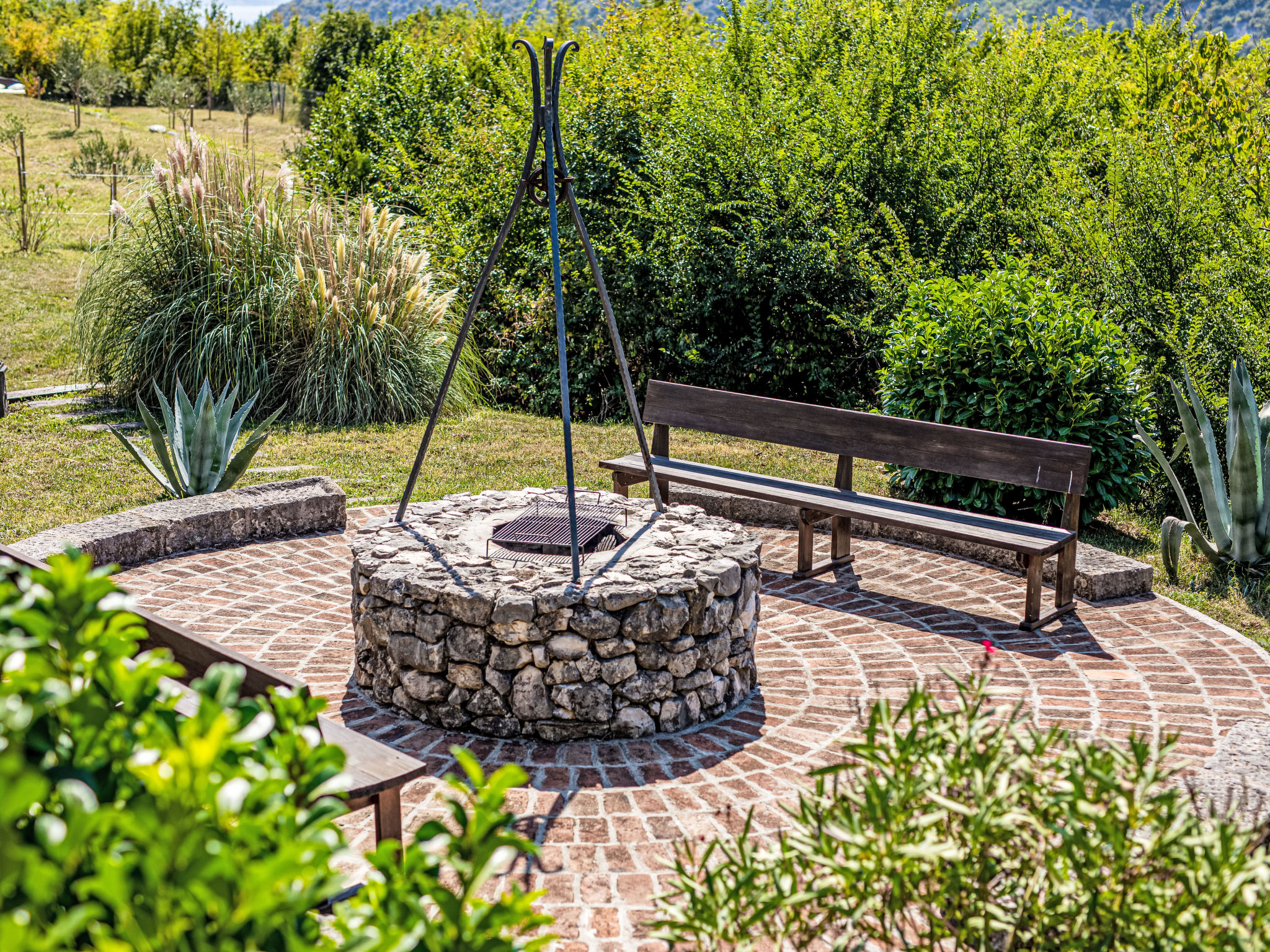 Lavanda - Buiten