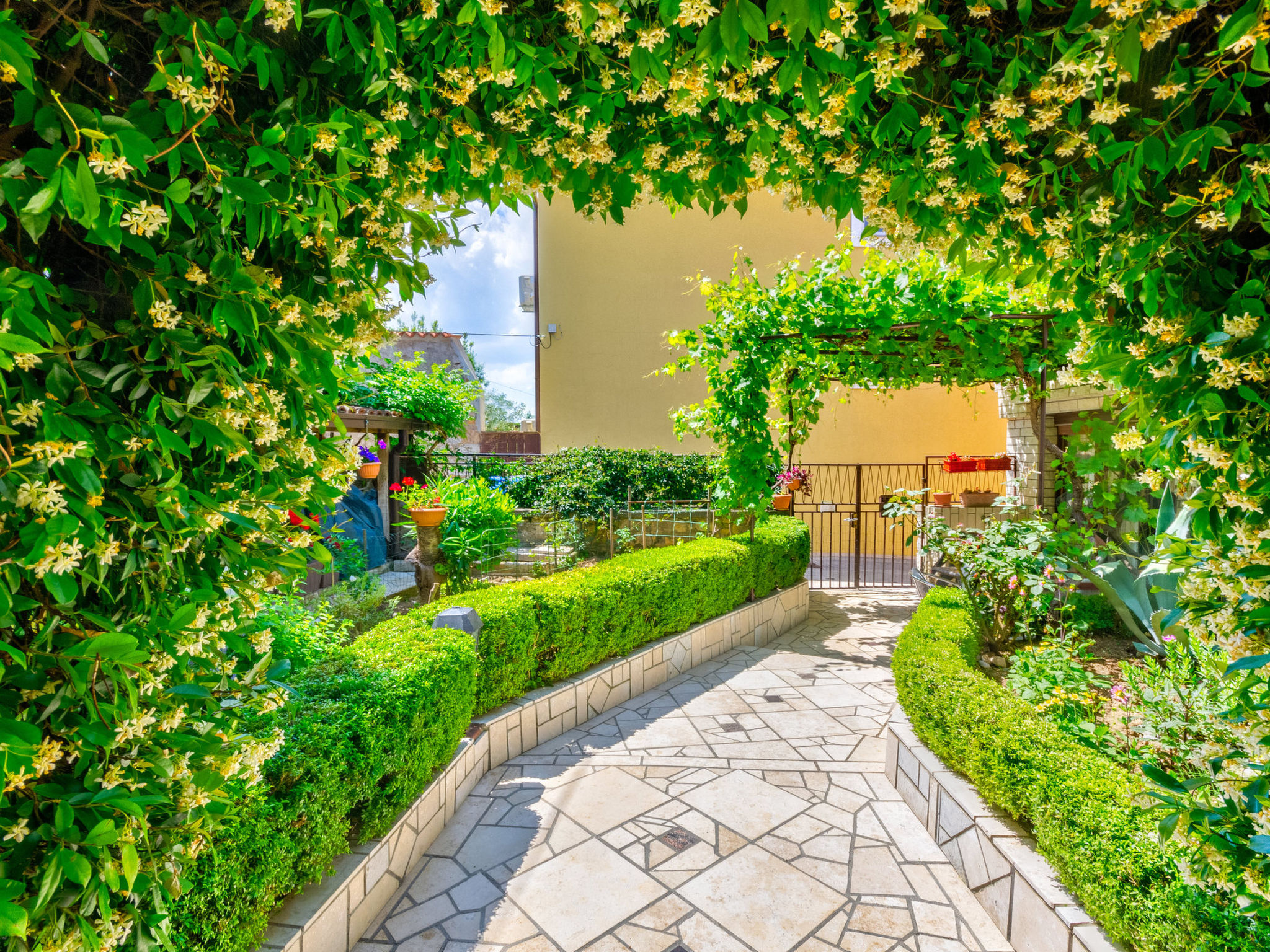 CIRO CH / HR-07098-04 - Outside