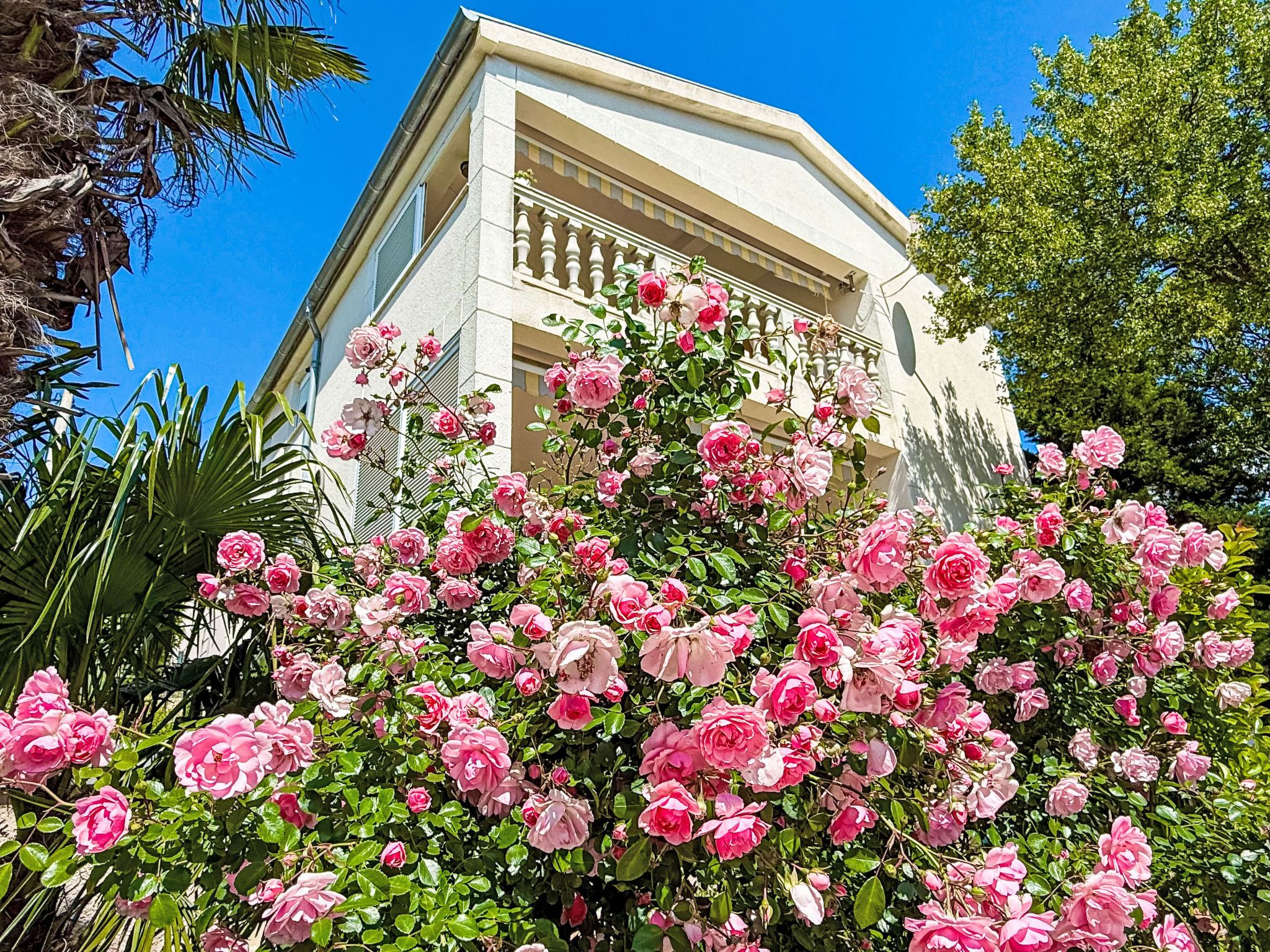 Villa Theresa