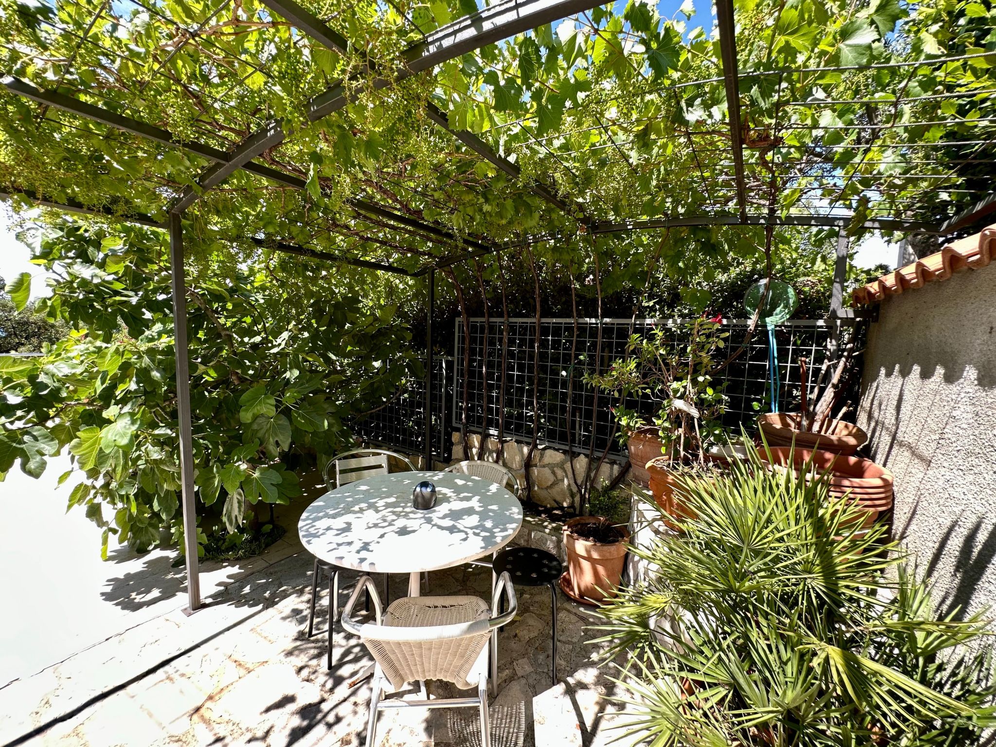 Wohnung Velvet Vista 5-Outside