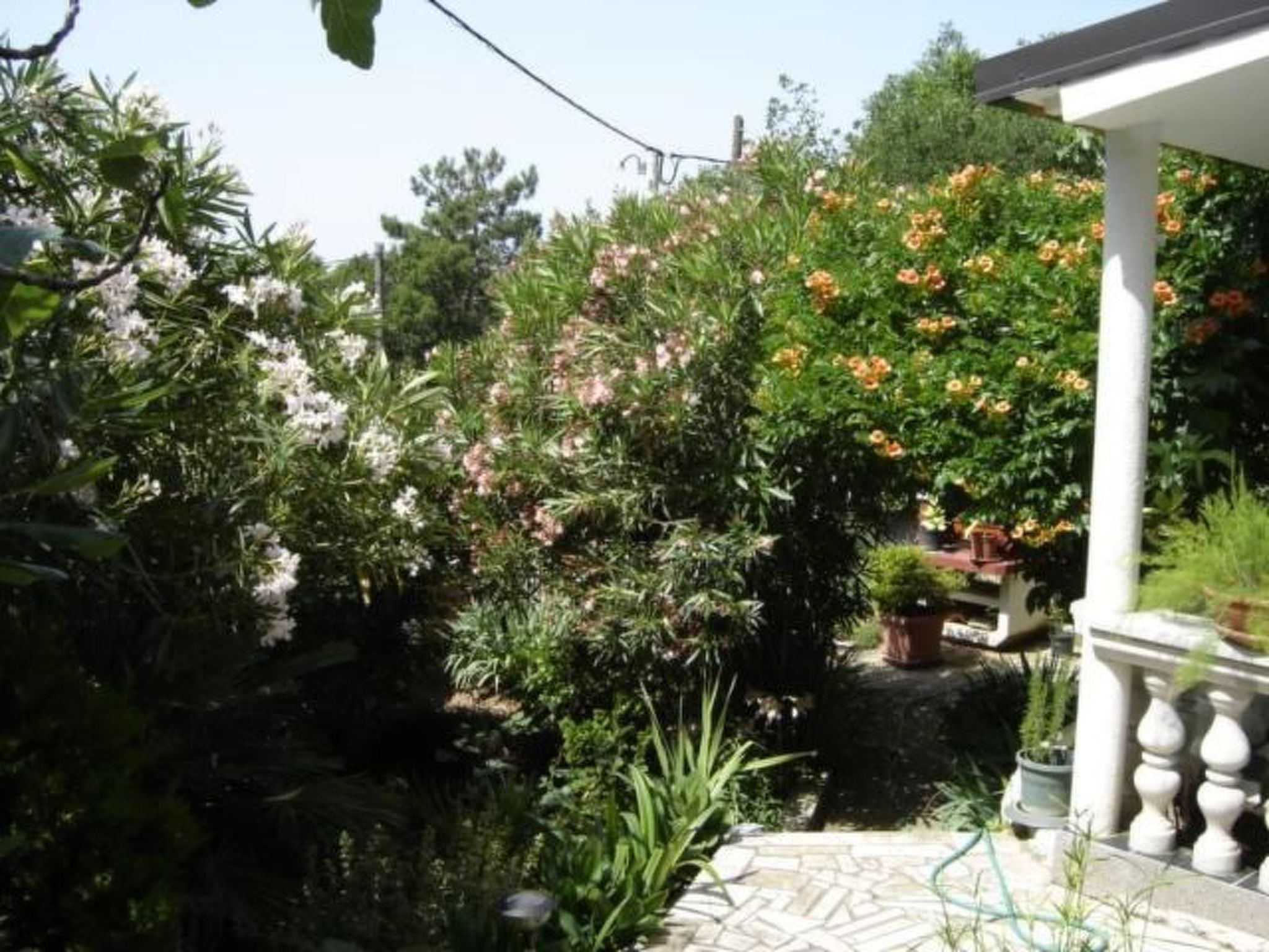 Wohnung mit herrlichem Meerblick-Binnen