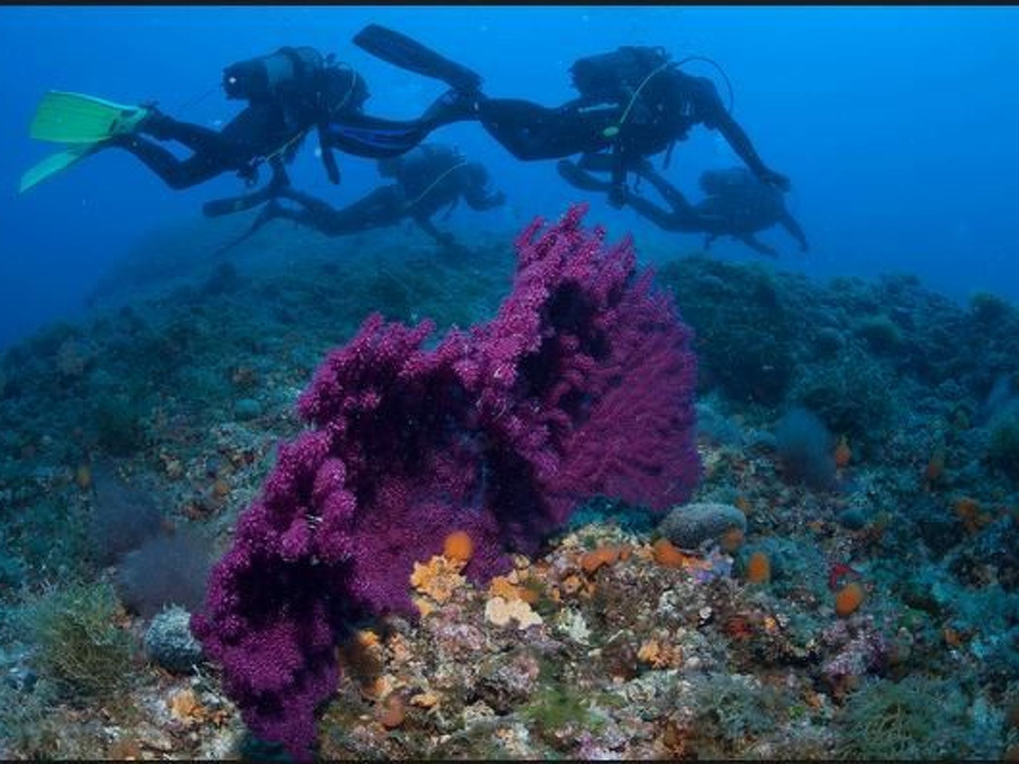 Wohnung mit herrlichem Meerblick-Binnen