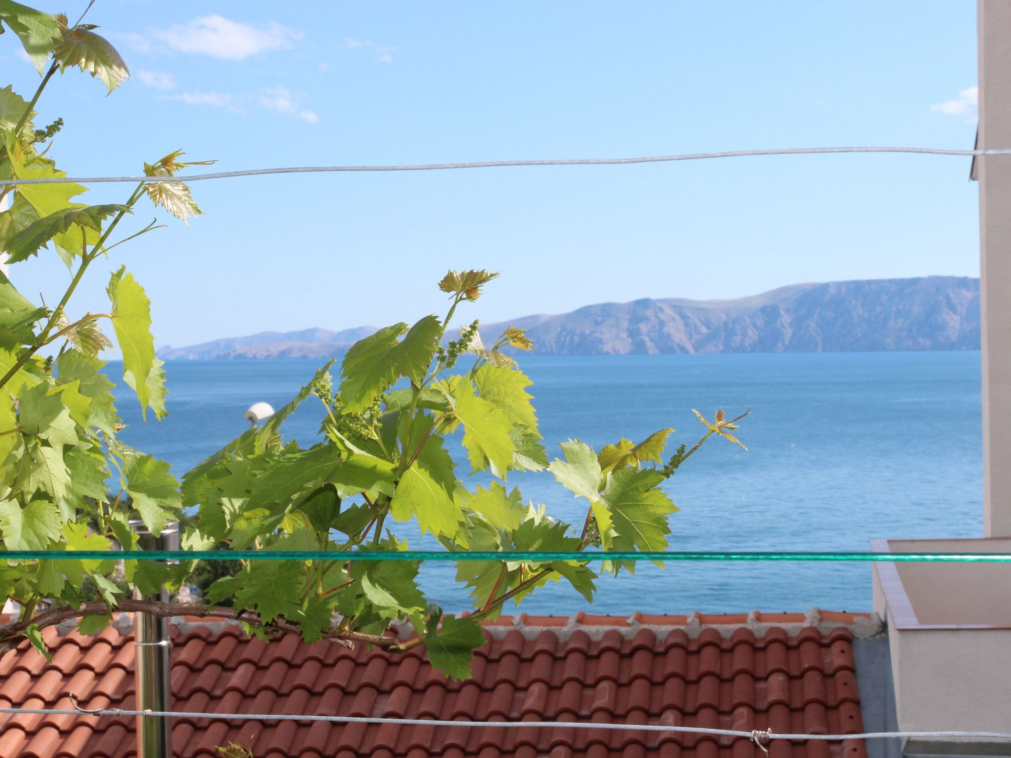 "Mihaljevic Tatjana"