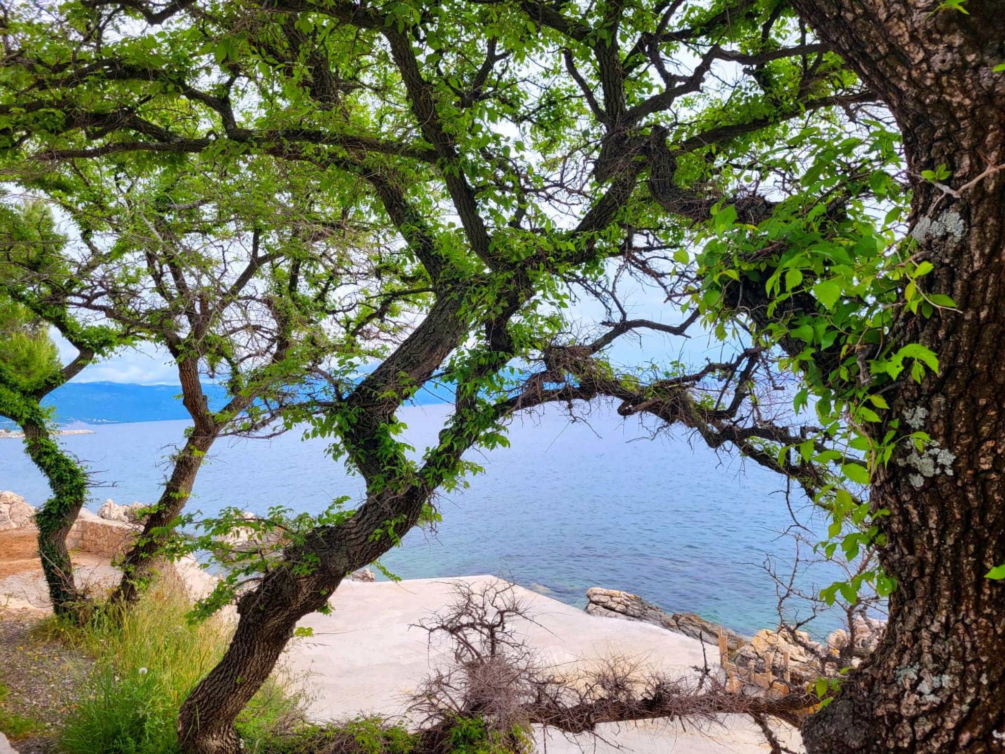 "Bribirska Obala" direkt am Strand-Dedans
