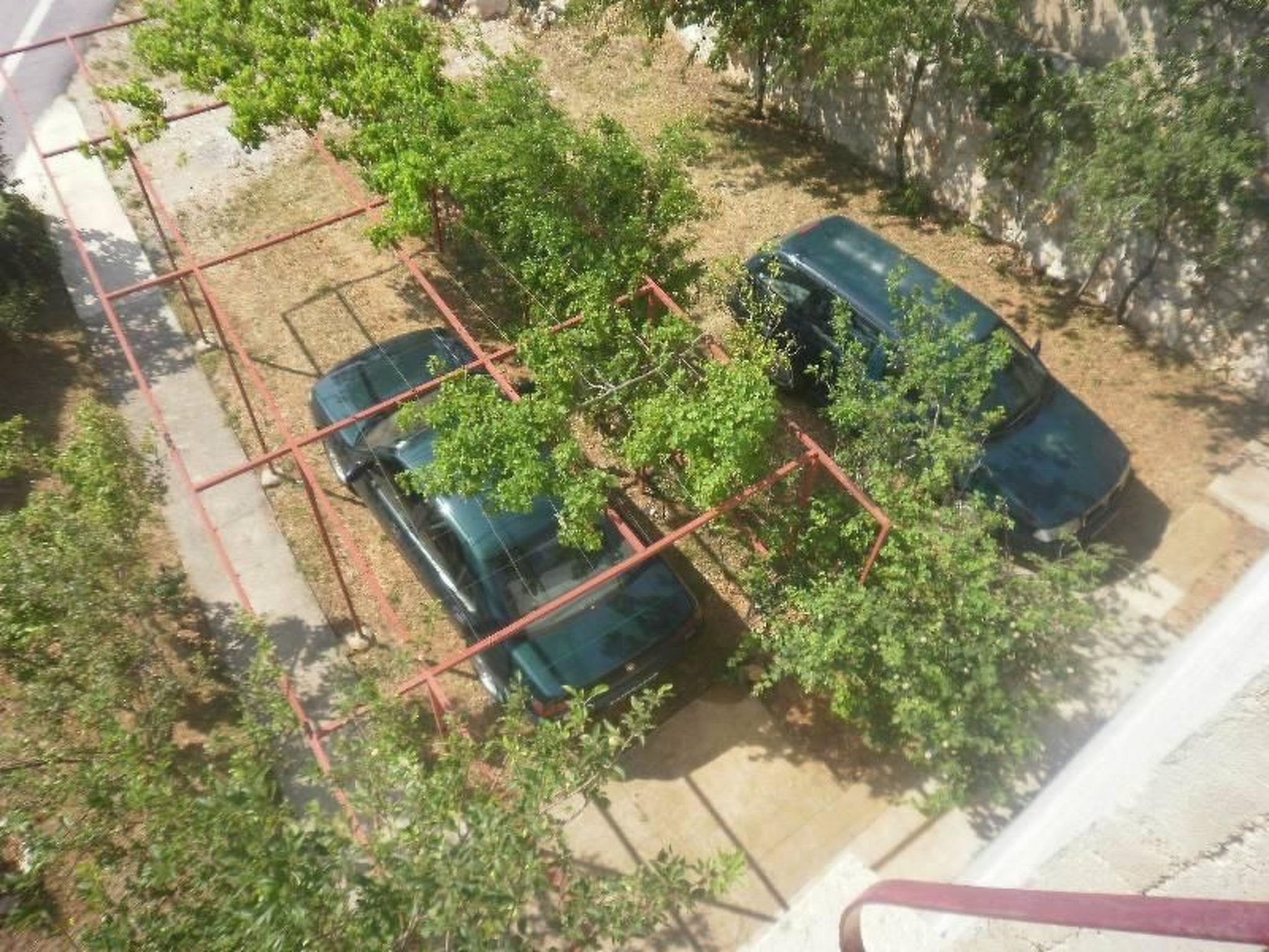 "Manda 2" mit Blick auf das Wasser-Image-tags.info